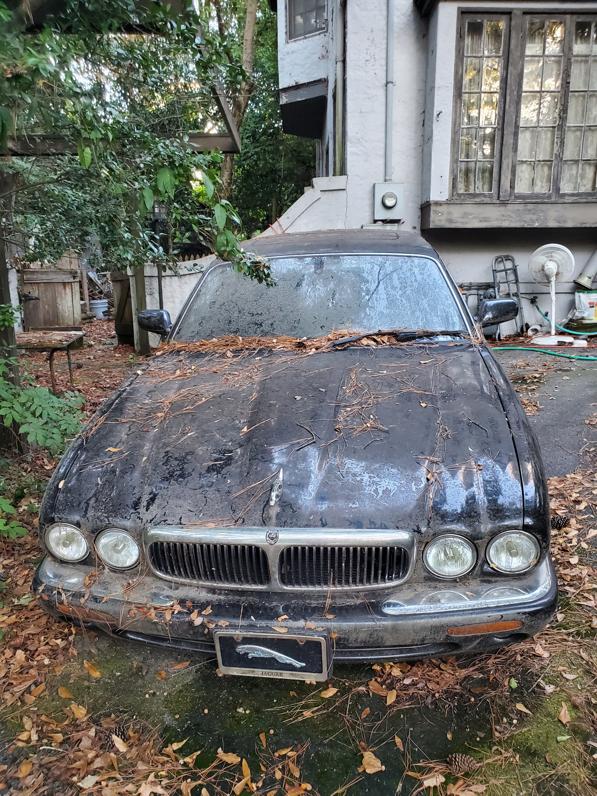 Used 2000 Jaguar XJ8 RWD image 2
