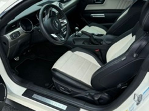 Used 2015 Ford Mustang 50 Years RWD image 2