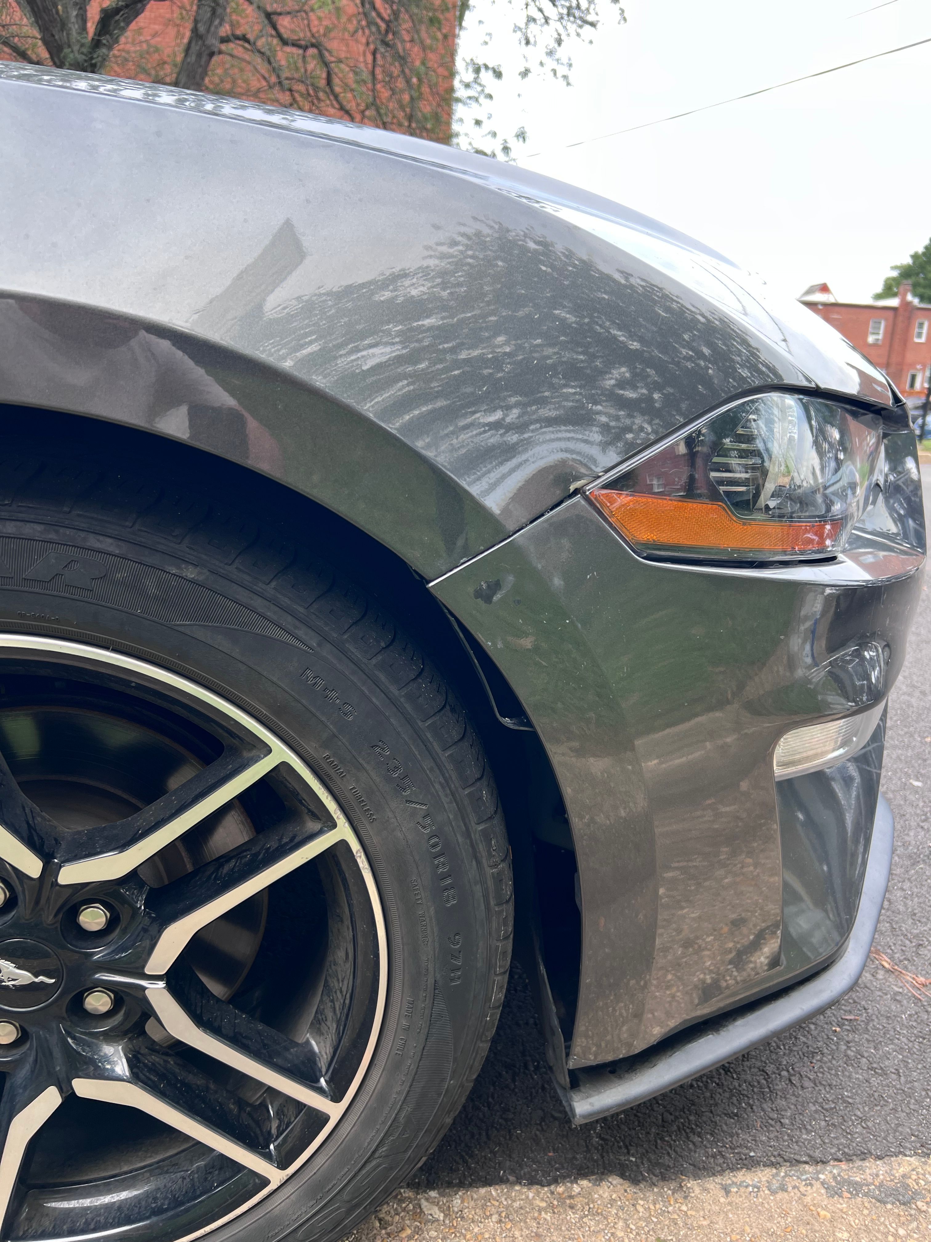 Used 2019 Ford Mustang Premium w/ Equipment Group 201A RWD image 10