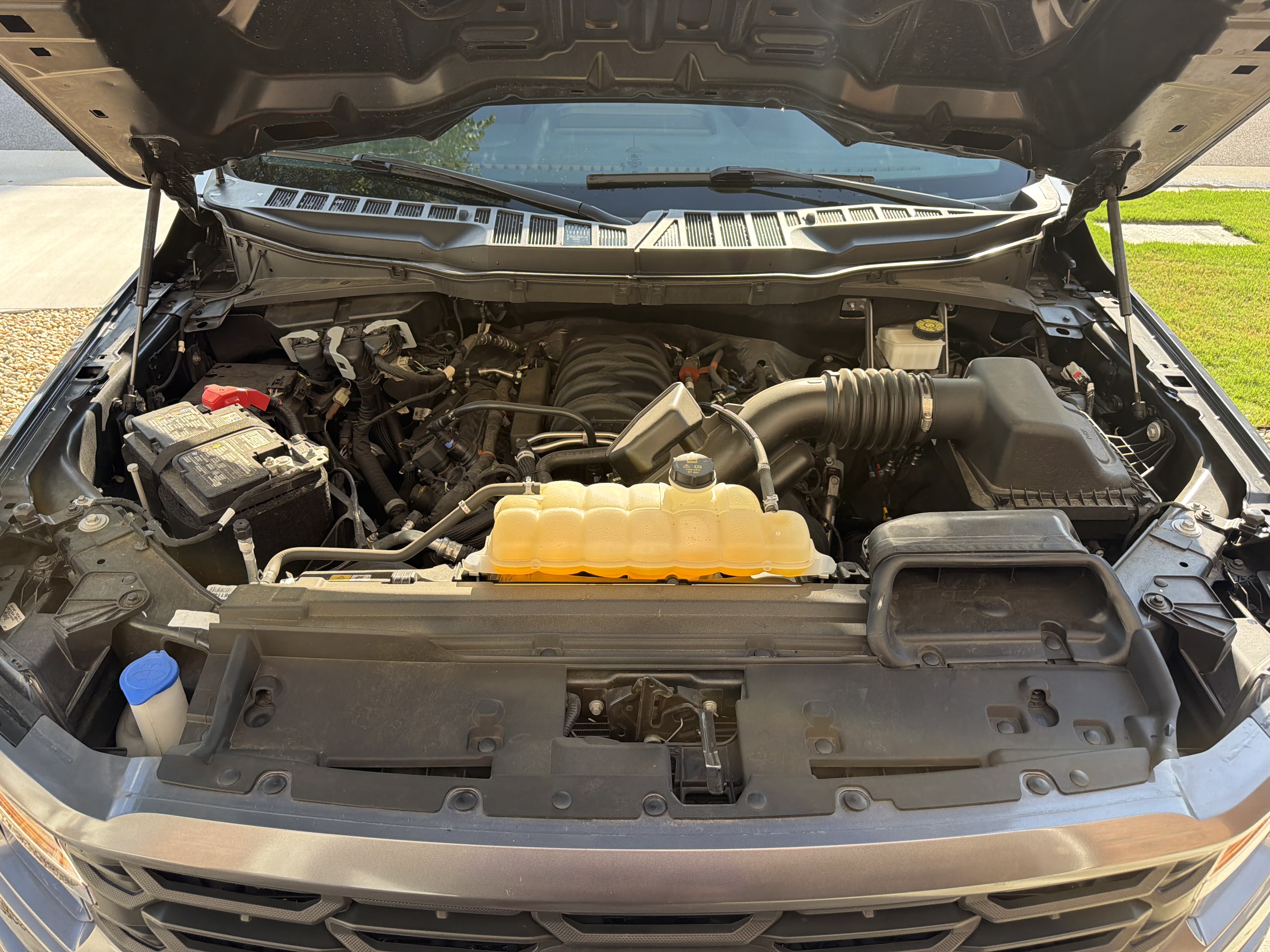 Used 2024 Ford F150 XL RWD image 11