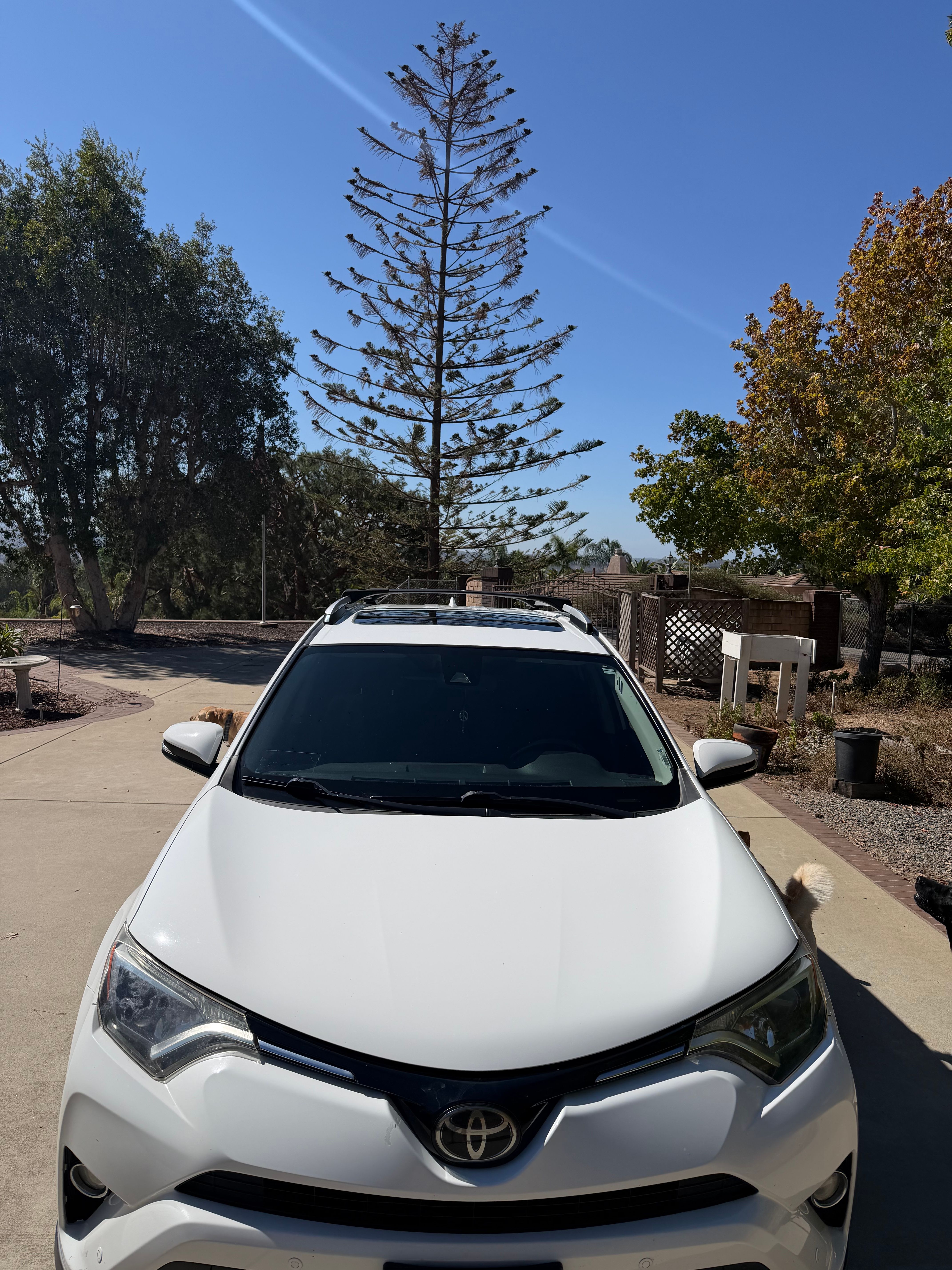 Used 2016 Toyota RAV4 XLE w/ Convenience Package FWD image 1