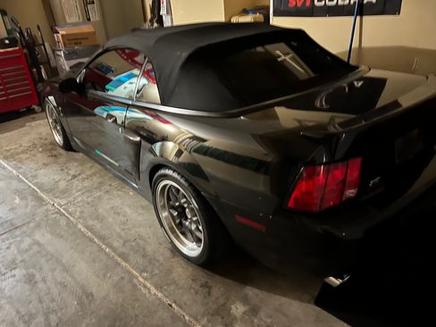 Used 2004 Ford Mustang Cobra image 2