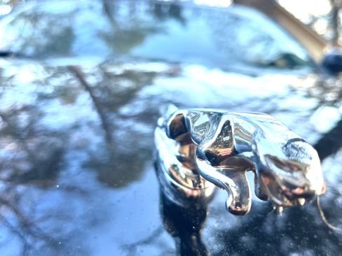 Used 2005 Jaguar XJ8 image 14