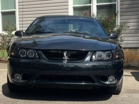 Used 2001 Ford Mustang Cobra image 2