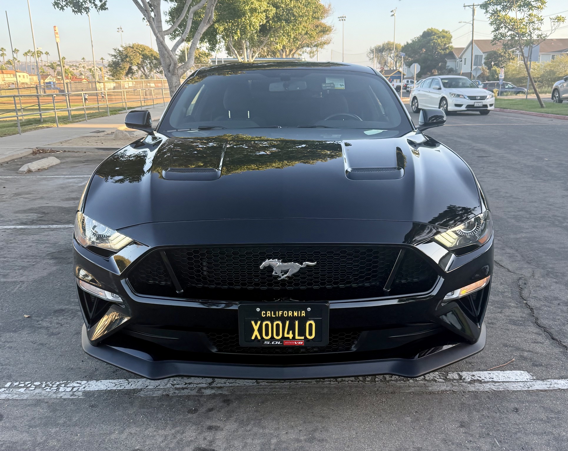 Used 2019 Ford Mustang GT w/ GT Performance Package RWD image 2
