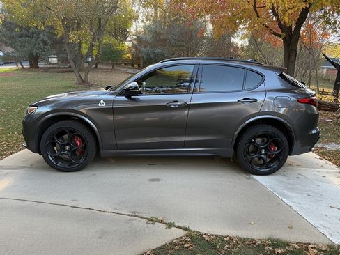 Used 2023 Alfa Romeo Stelvio Quadrifoglio w/ Active Assist Plus Package image 1