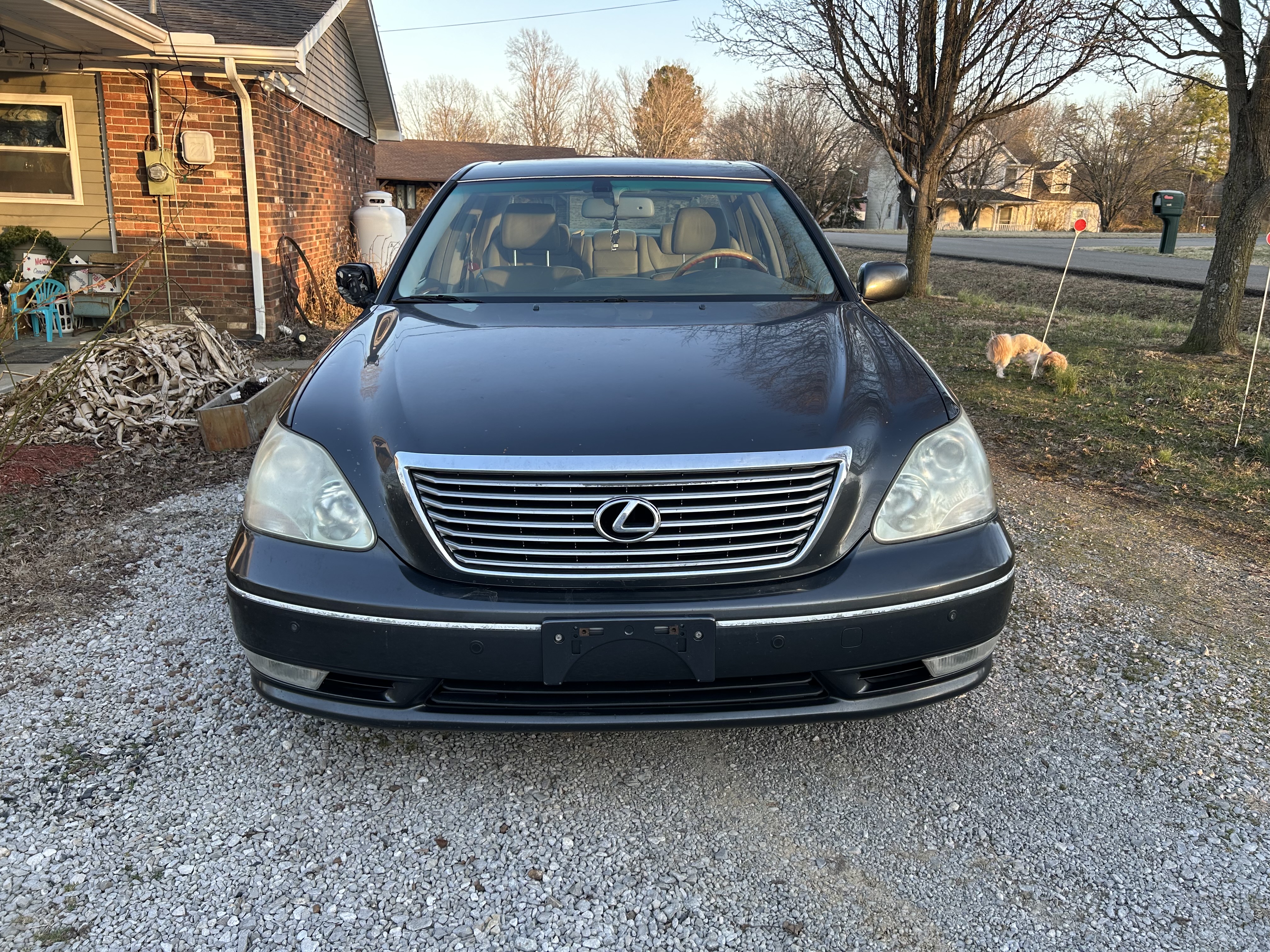 Used 2004 Lexus LS 430 w/ Premium Pkg RWD image 1
