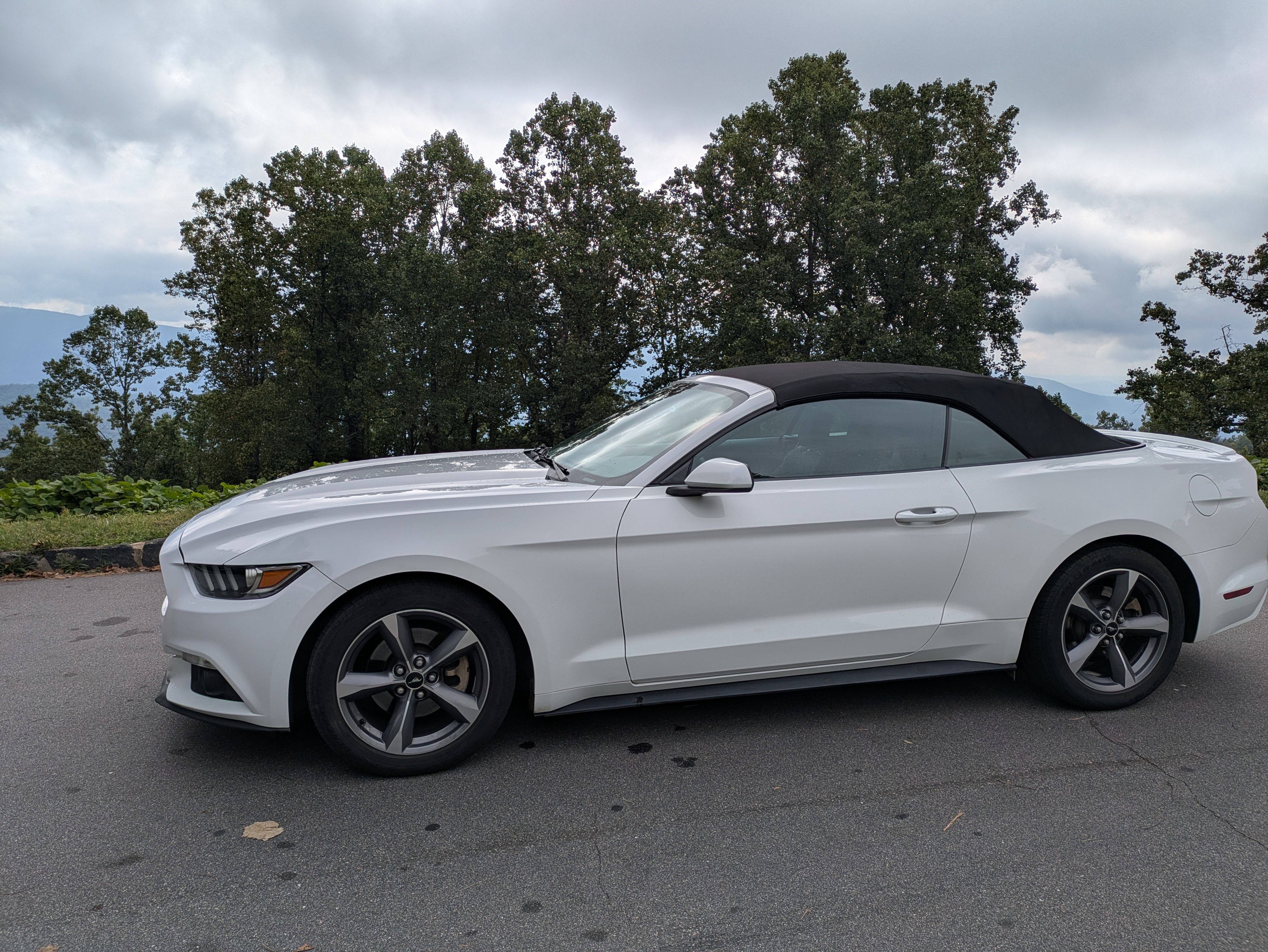 Used 2015 Ford Mustang Convertible w/ Equipment Group 051A RWD image 5