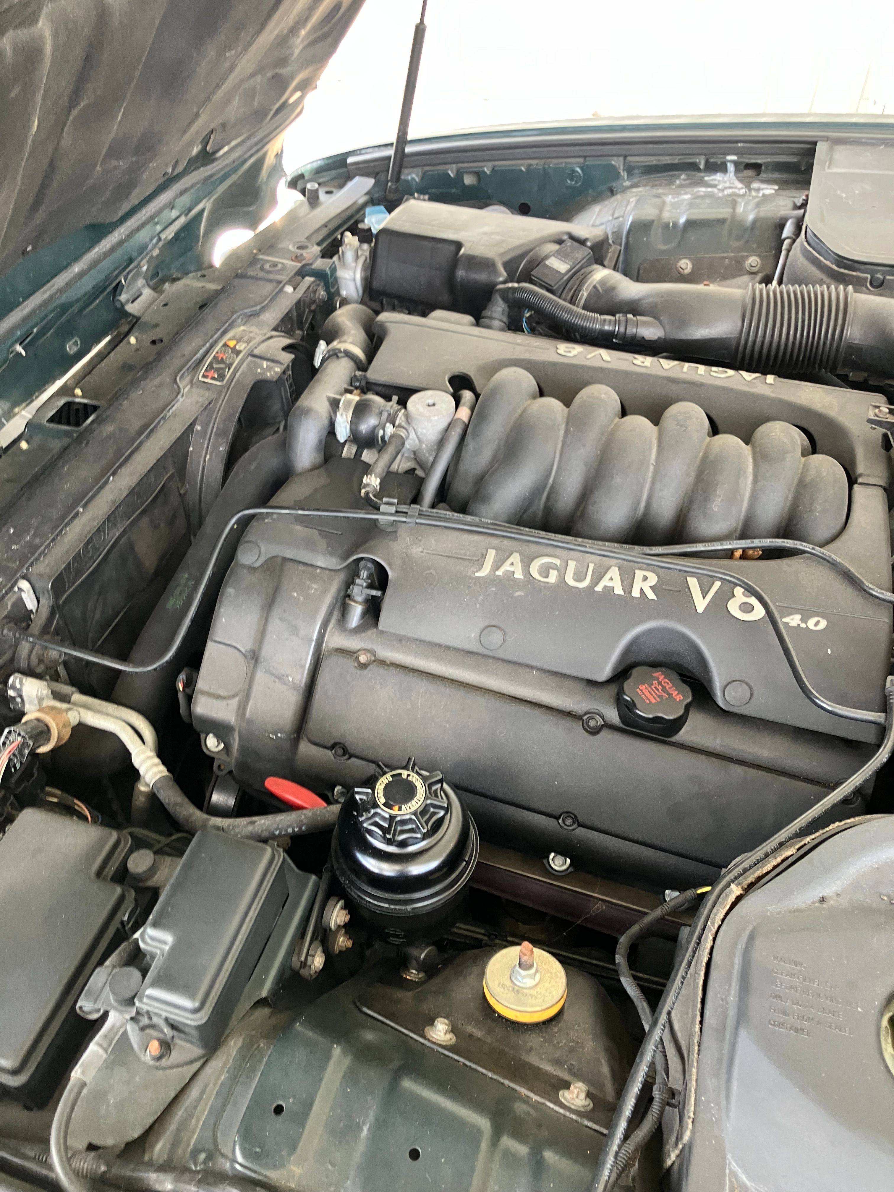 Used 1998 Jaguar XJ8 RWD image 2