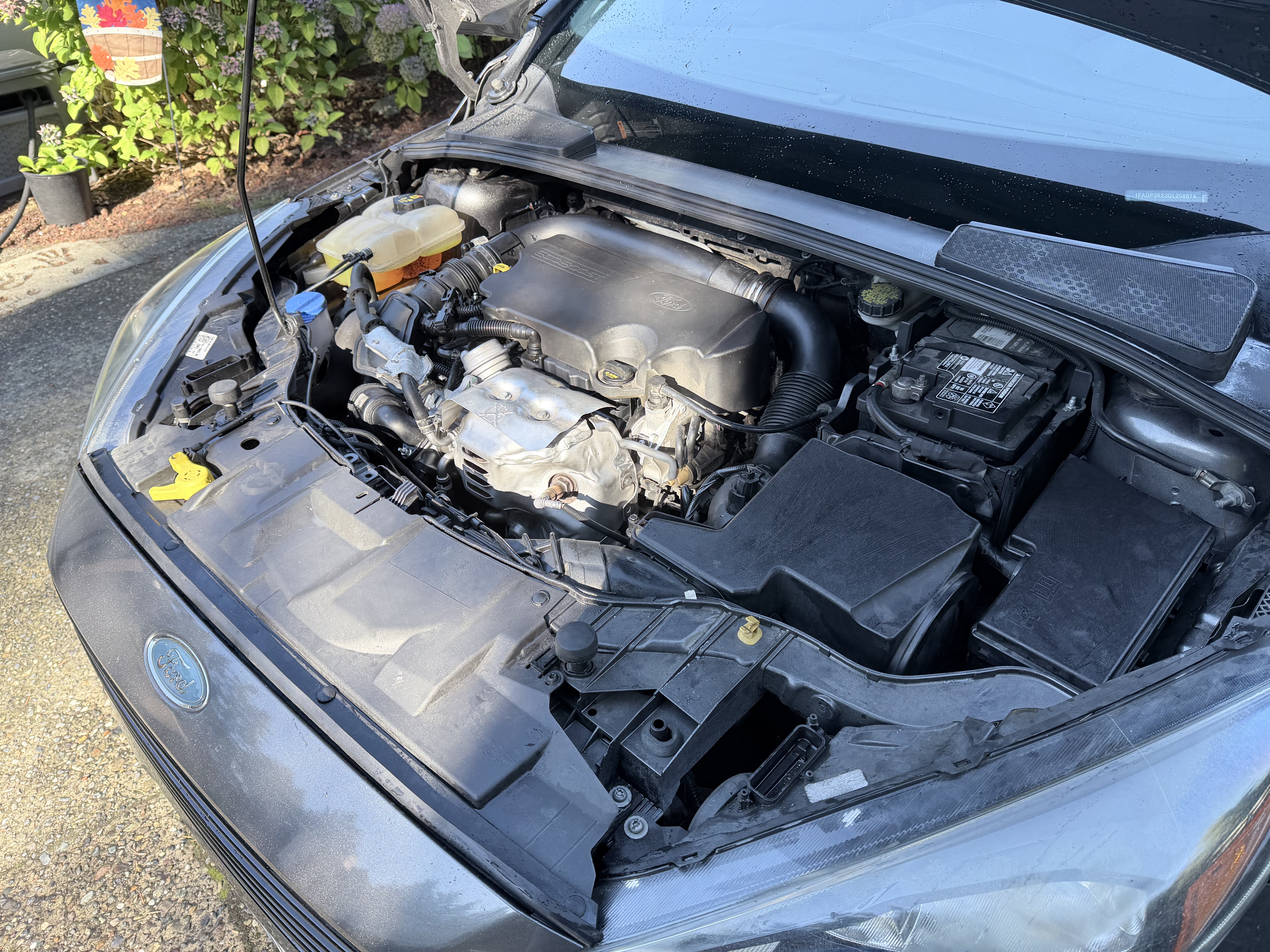 Used 2016 Ford Focus SE FWD image 5
