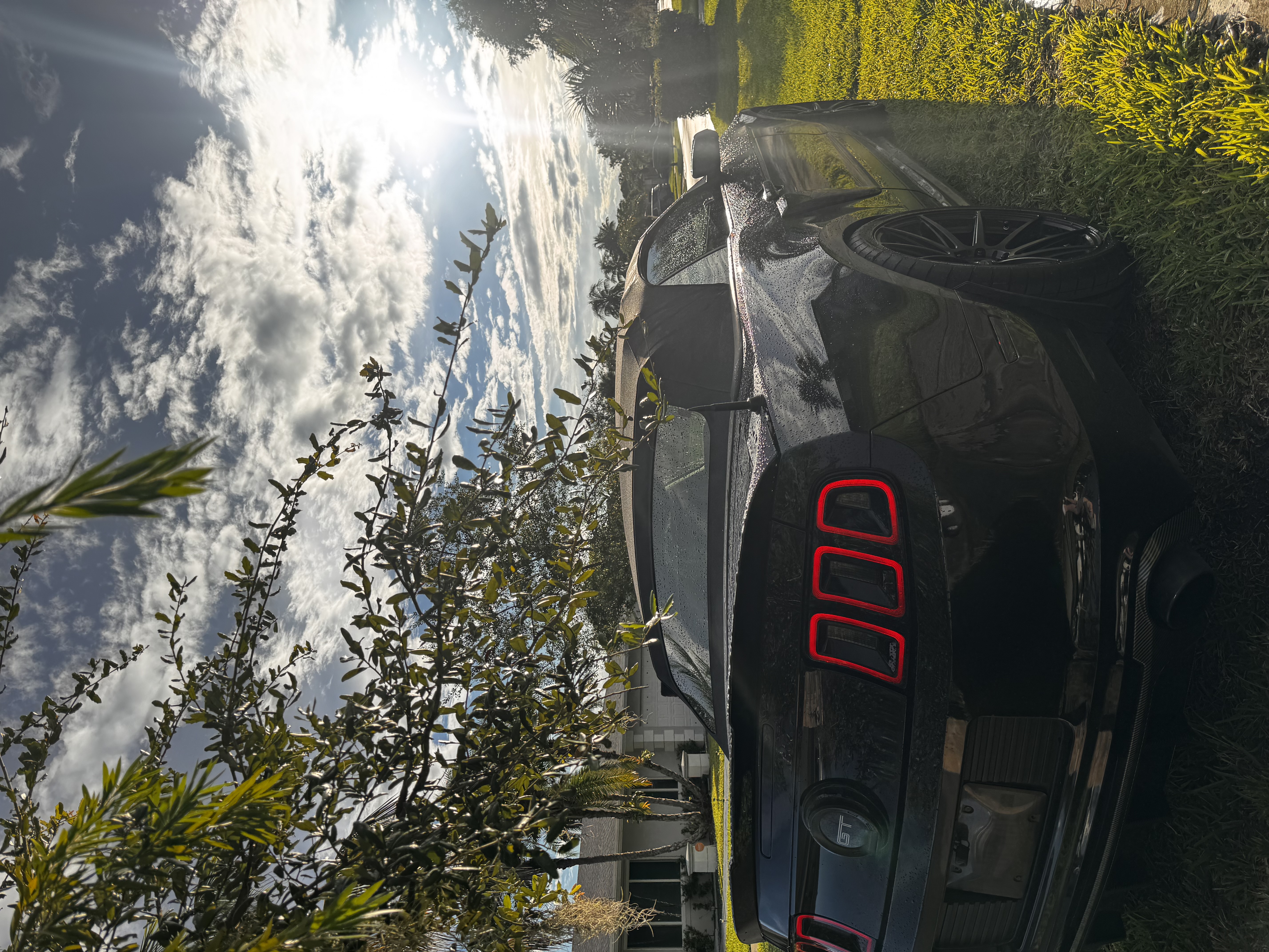 Used 2014 Ford Mustang GT Premium w/ Comfort Package RWD image 9