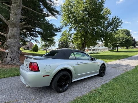 Used 2001 Ford Mustang GT Premium RWD image 1