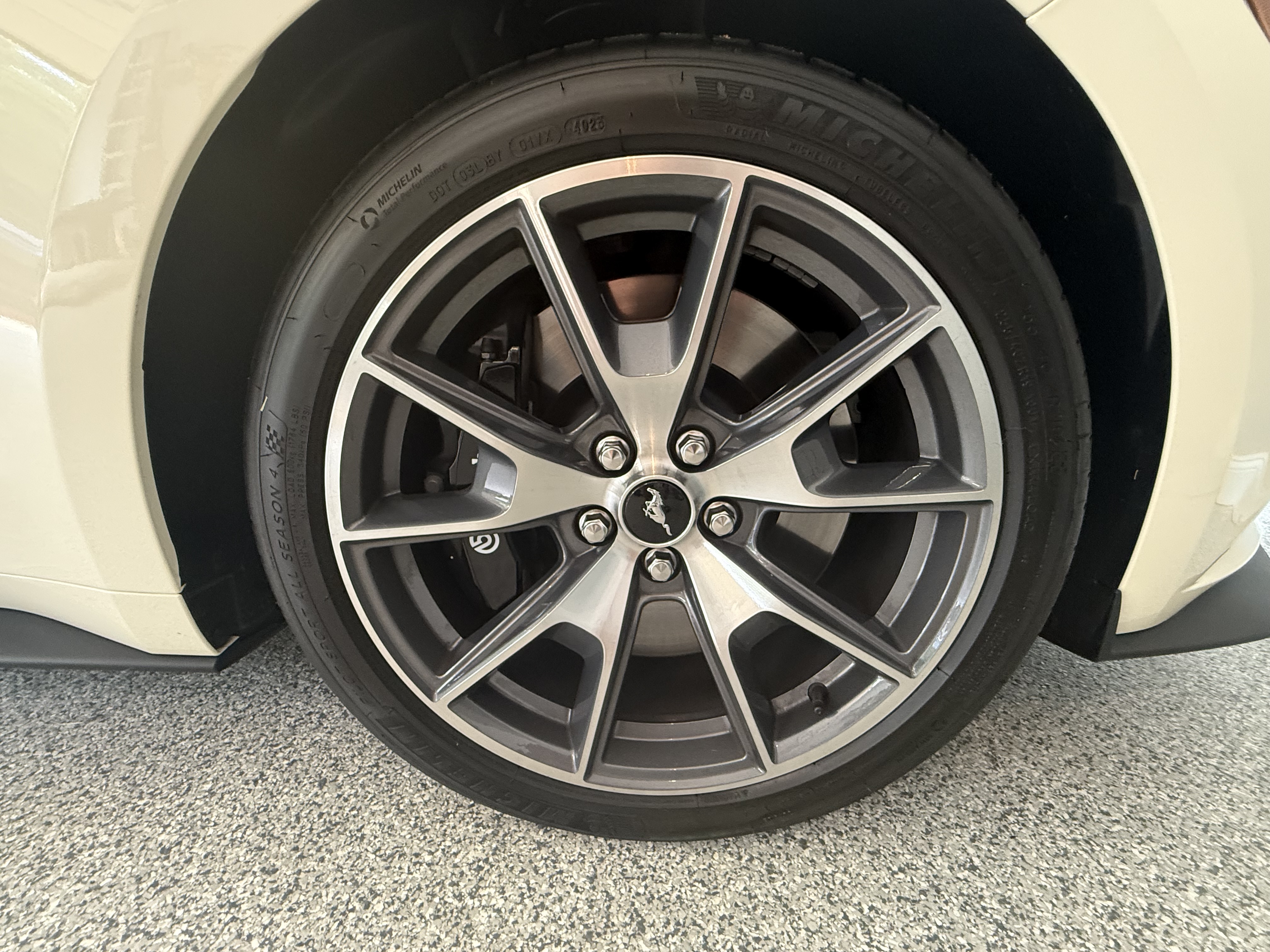 Used 2015 Ford Mustang 50 Years RWD image 11