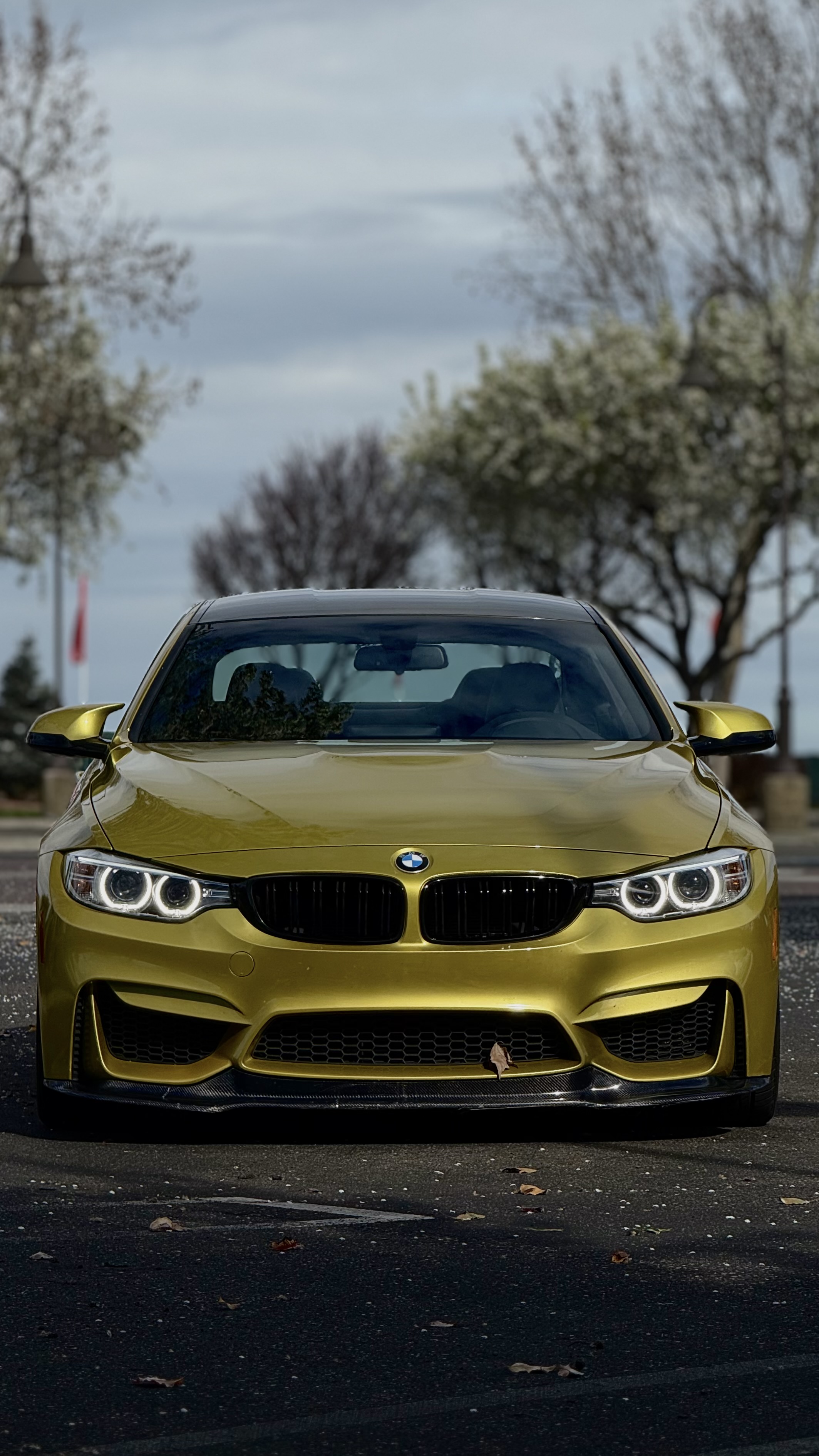 Used 2015 BMW M4 Coupe RWD image 9