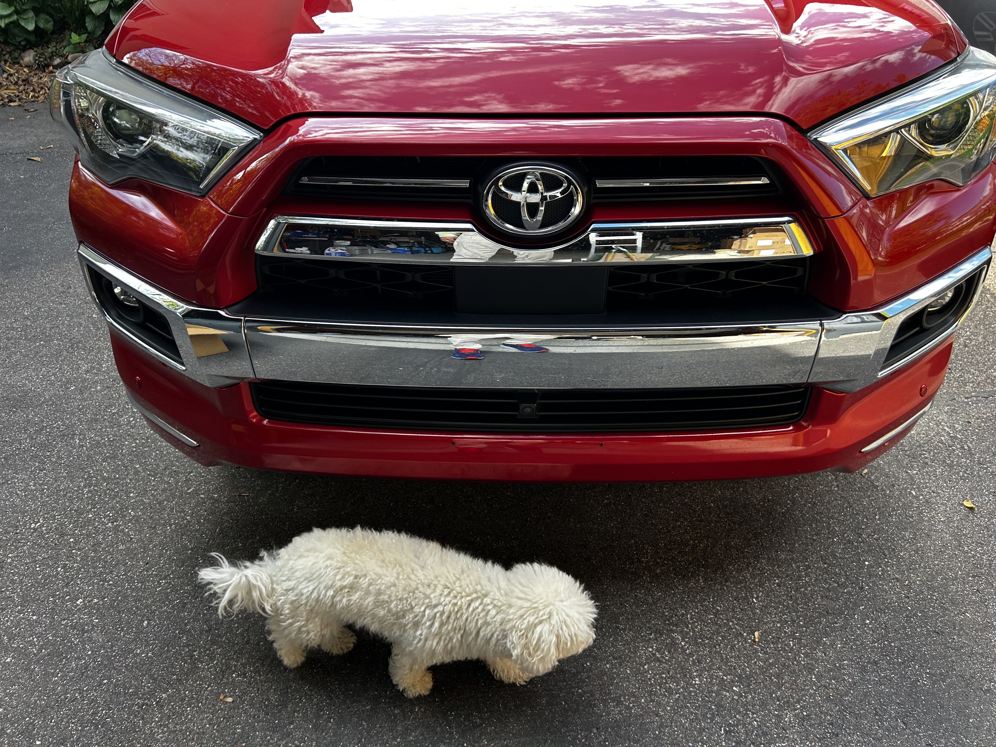 Used 2022 Toyota 4Runner Limited AWD/4WD image 13