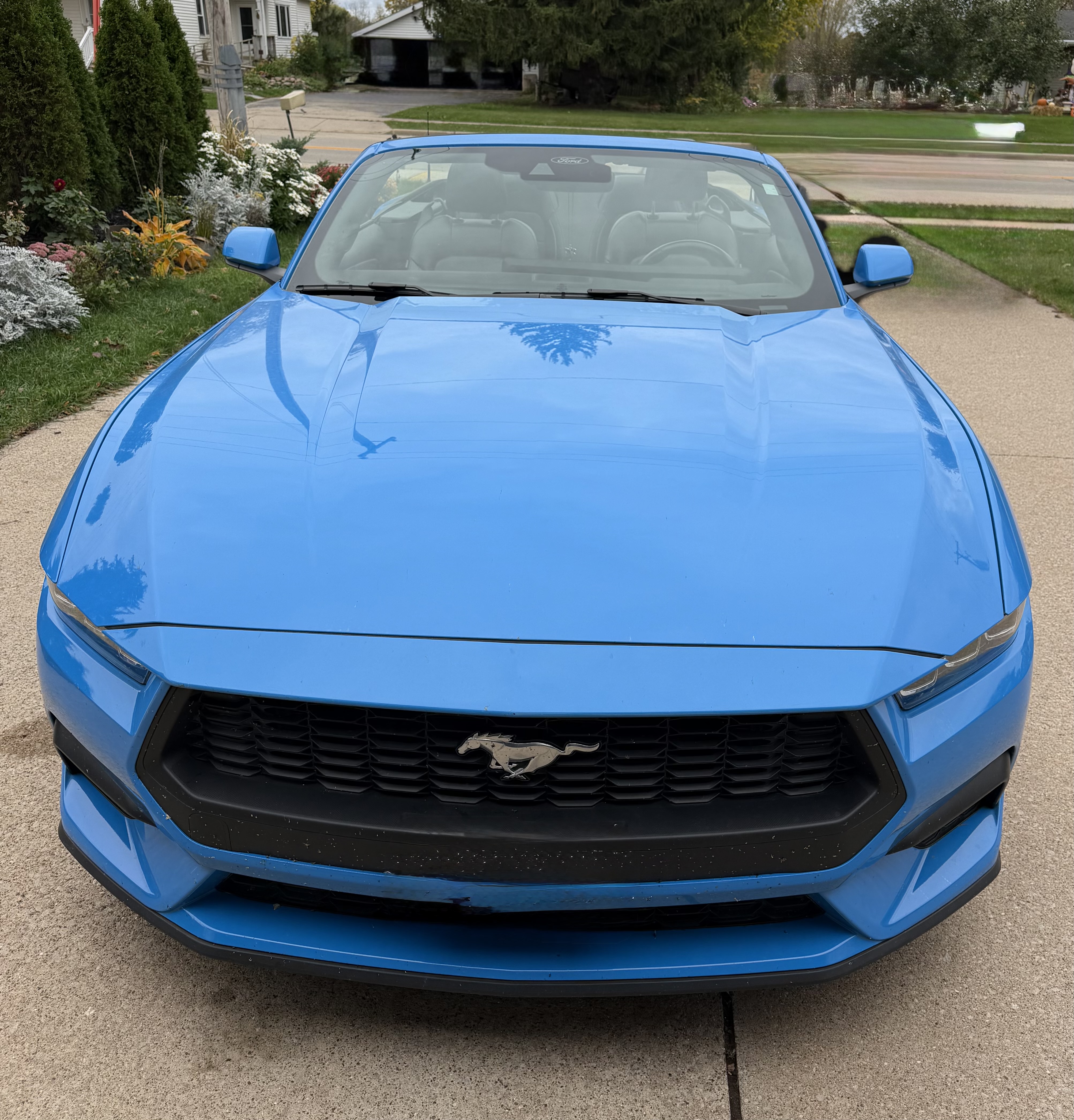 Used 2024 Ford Mustang Premium RWD image 5