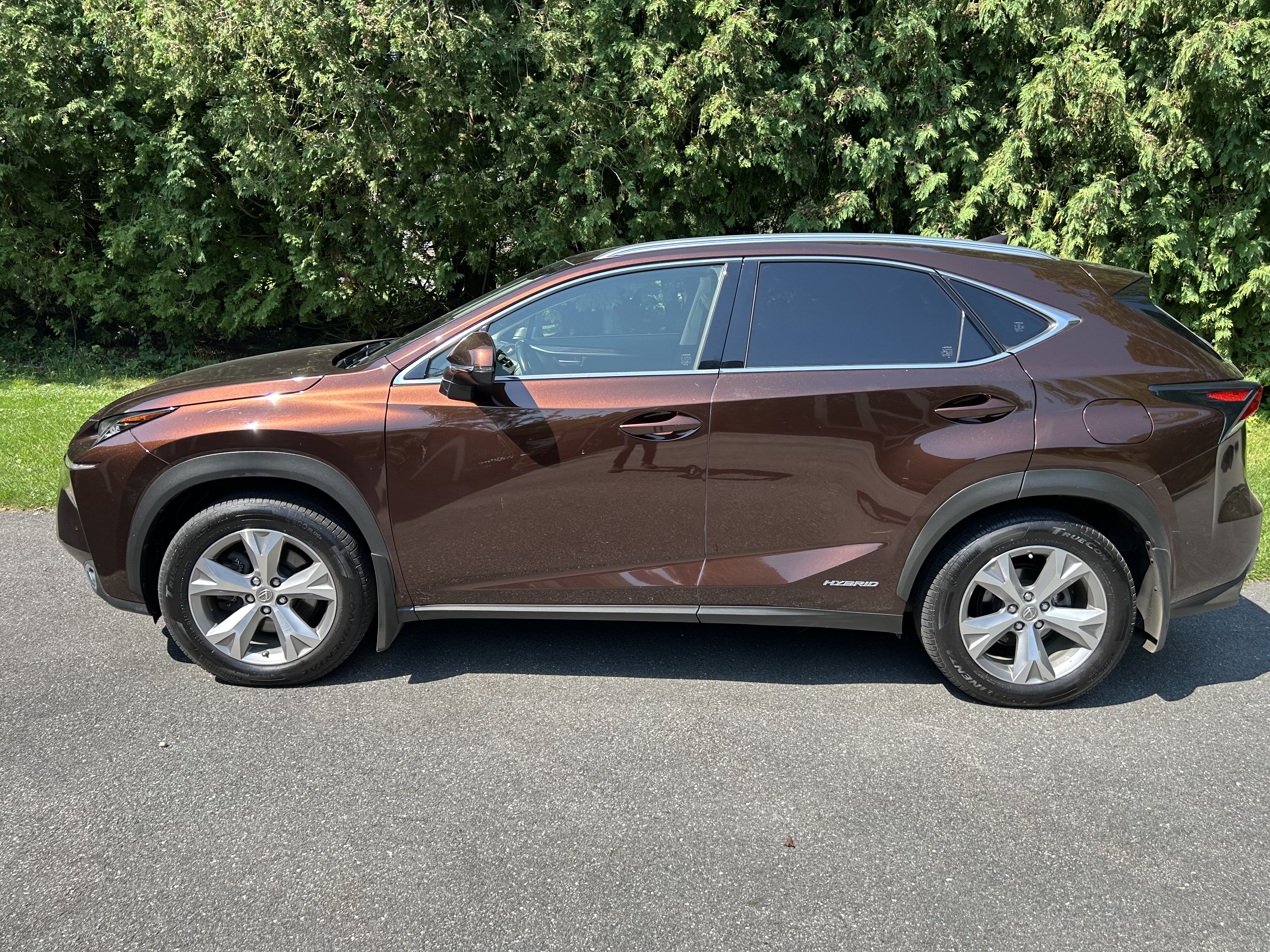 Used 2017 Lexus NX 300h AWD w/ Luxury Package image 1
