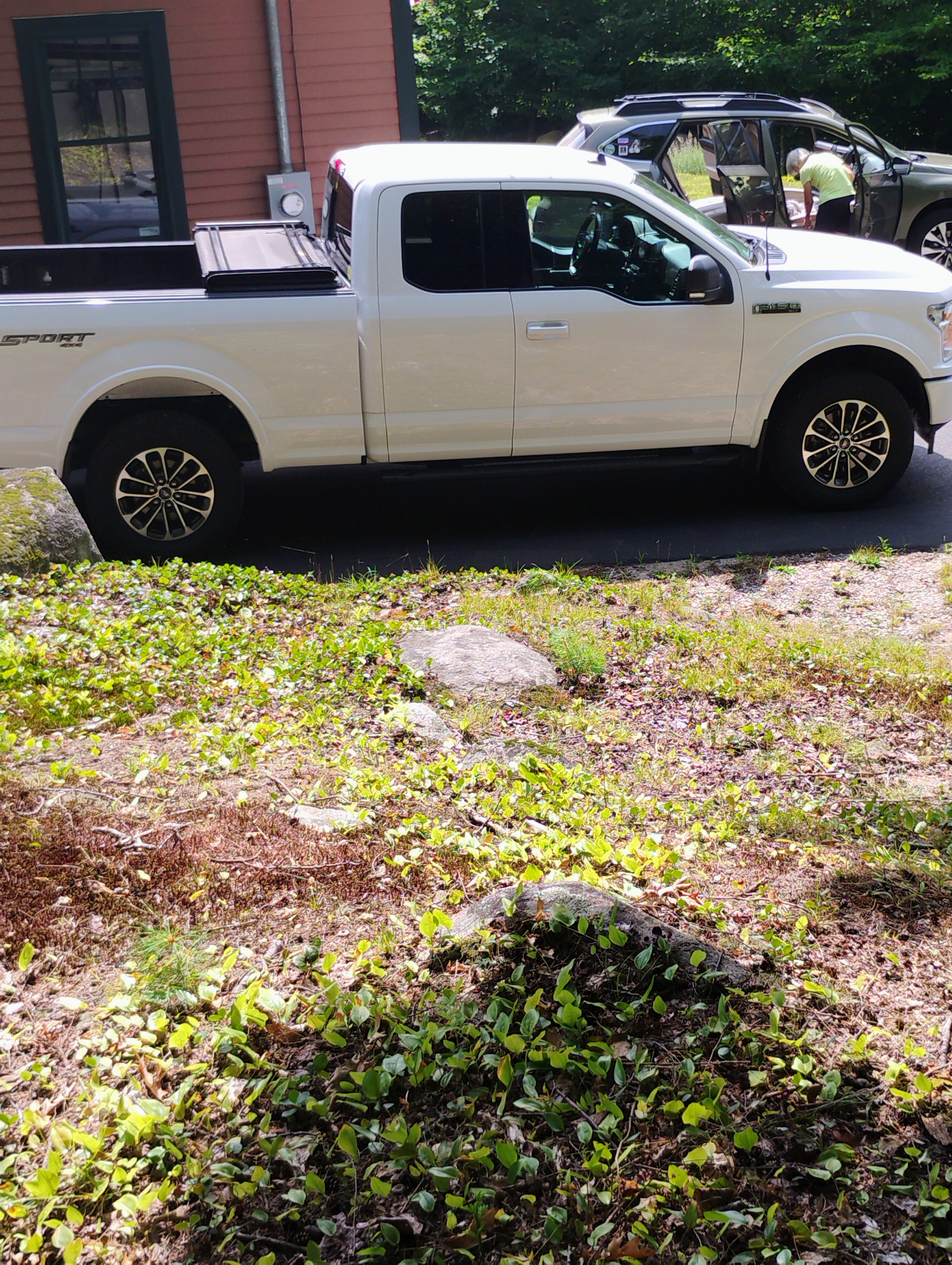 Used 2019 Ford F150 XLT w/ Equipment Group 302A Luxury AWD/4WD image 6