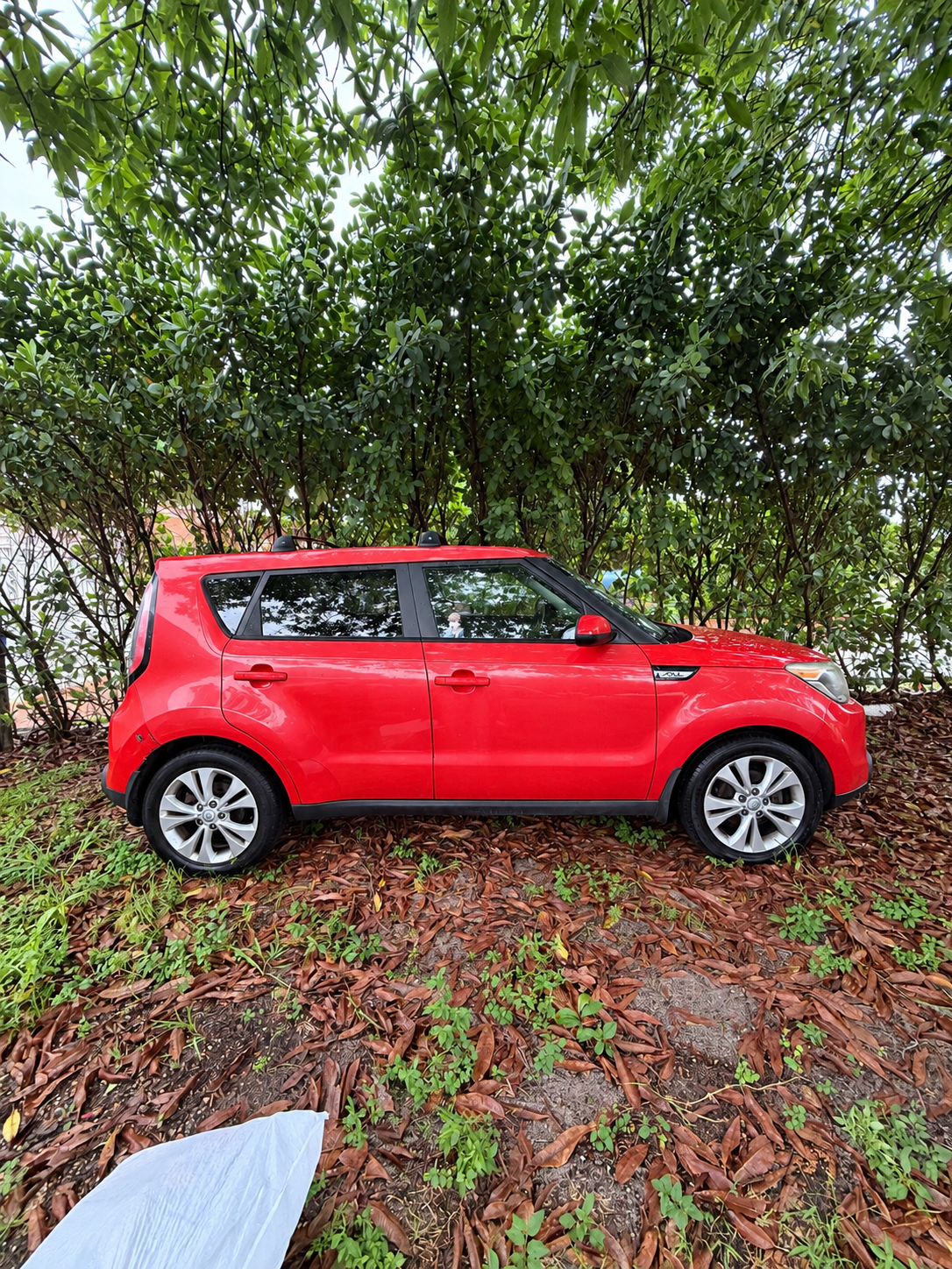 Used 2015 Kia Soul + FWD image 4