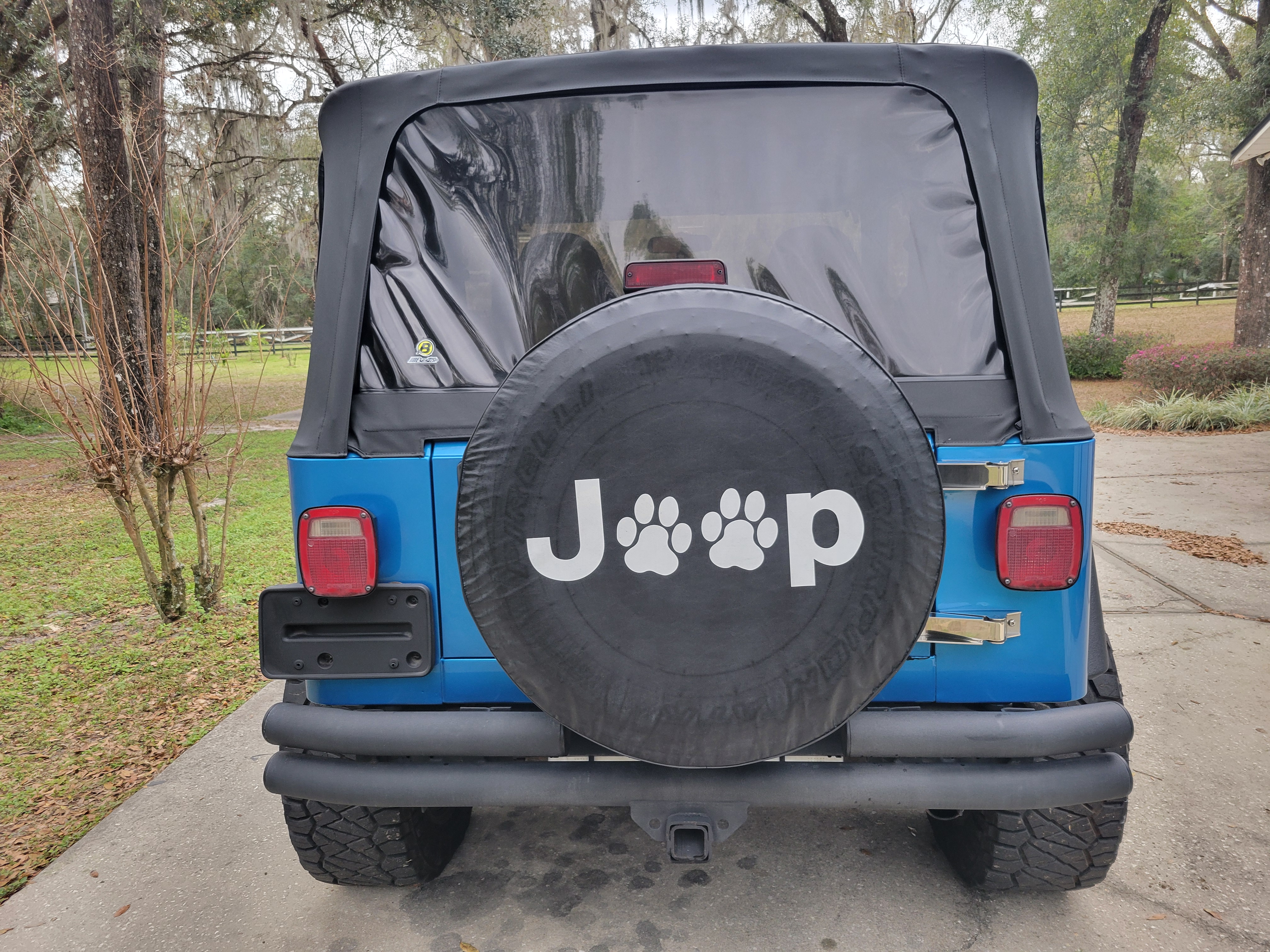 Used 2001 Jeep Wrangler Sport AWD/4WD image 10