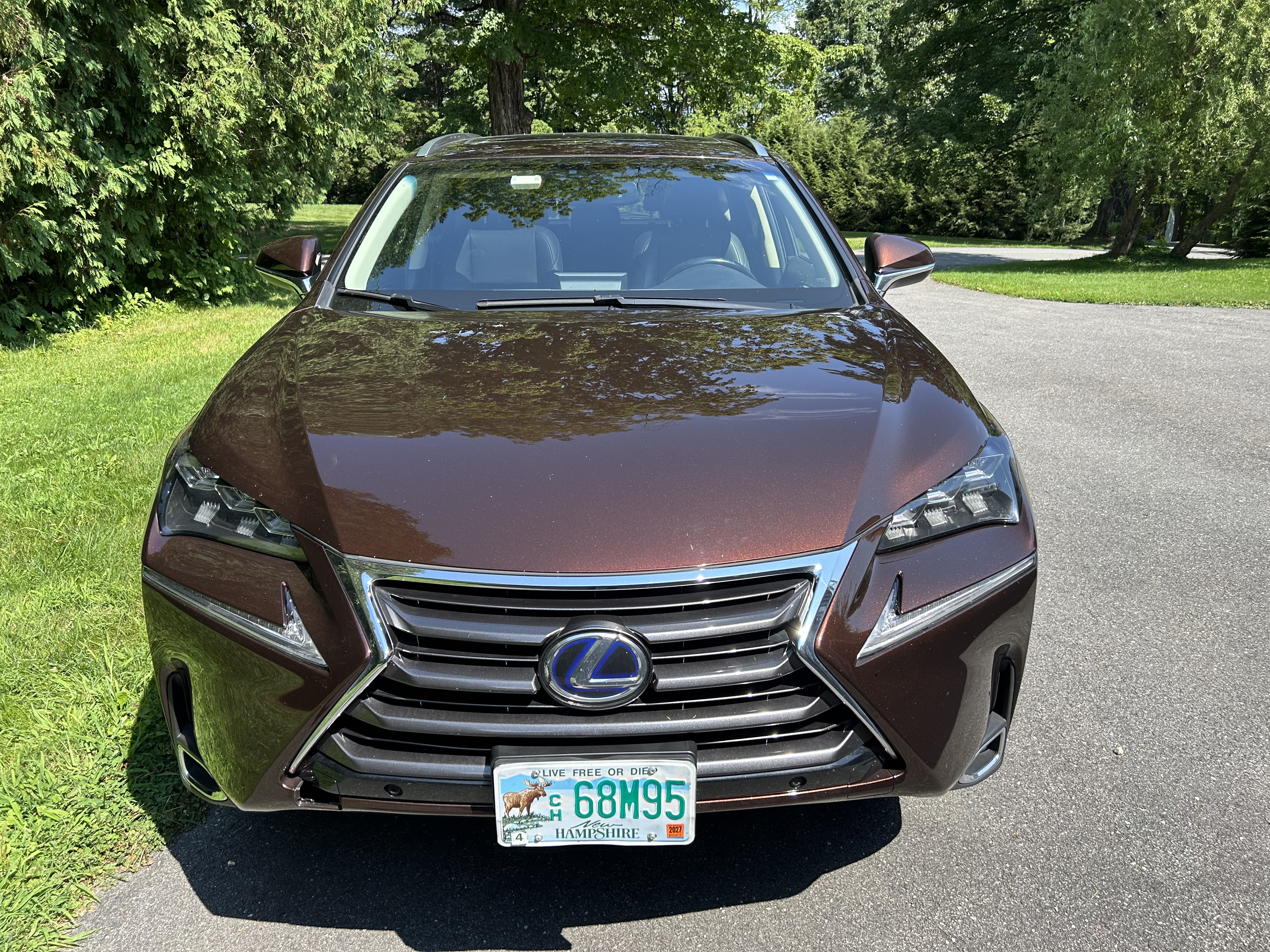 Used 2017 Lexus NX 300h AWD w/ Luxury Package image 2