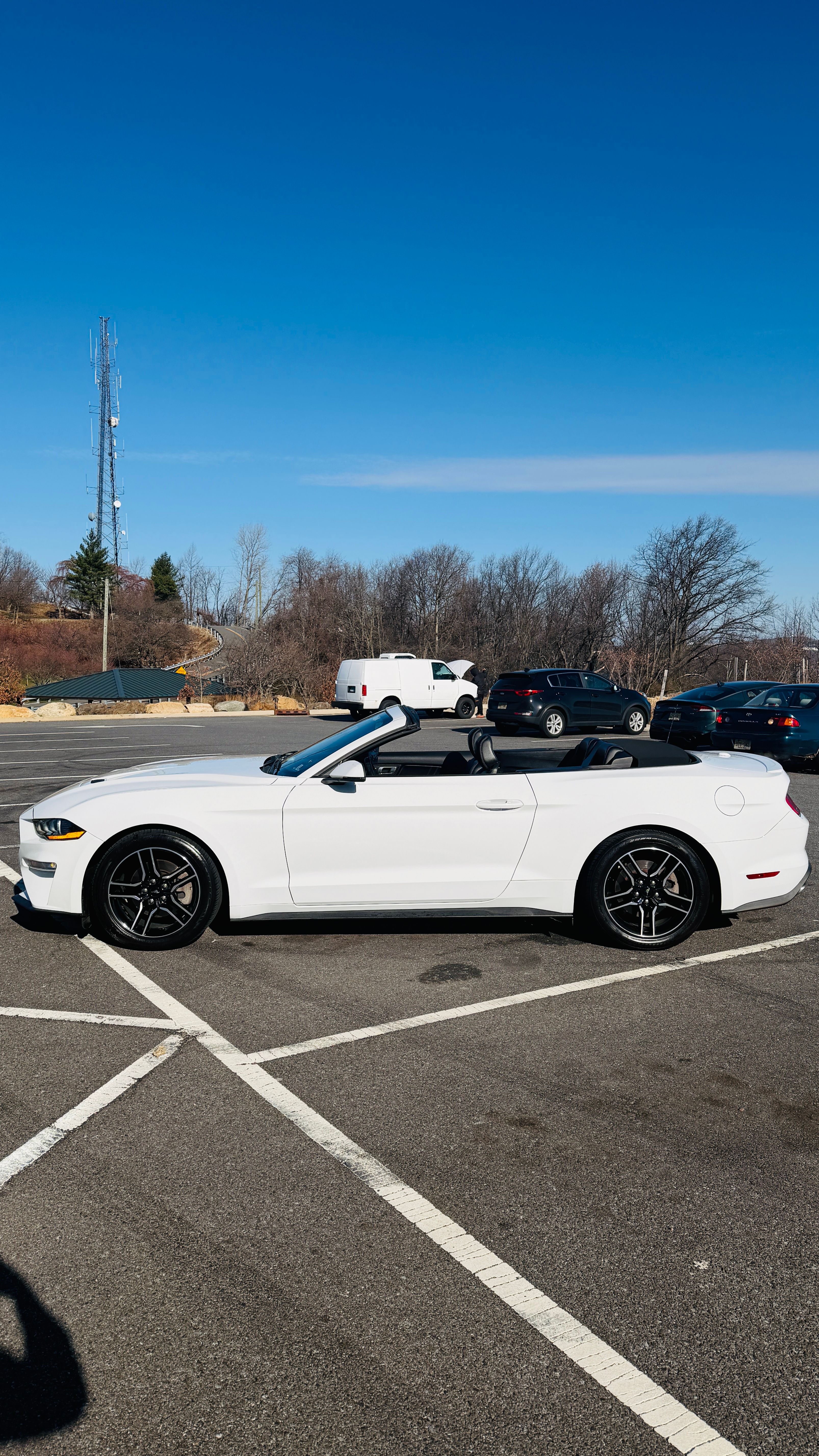 Used 2019 Ford Mustang Premium RWD image 5