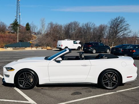 Used 2019 Ford Mustang Premium image 5