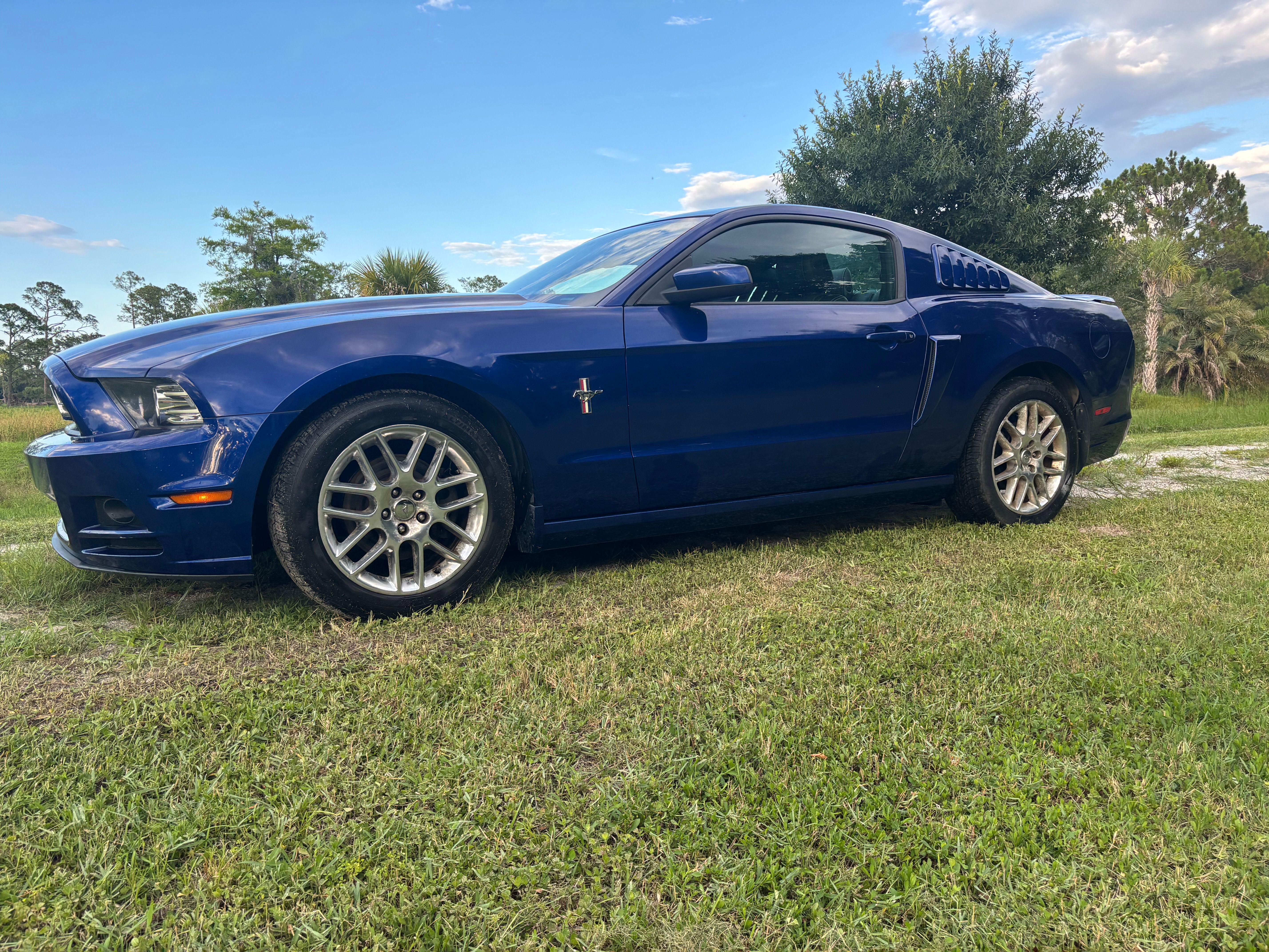 Used 2014 Ford Mustang Premium w/ Equipment Group 202A RWD image 1