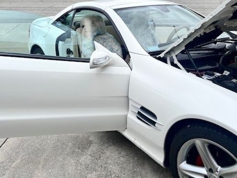 Used 2005 Mercedes-Benz SL 500 image 8