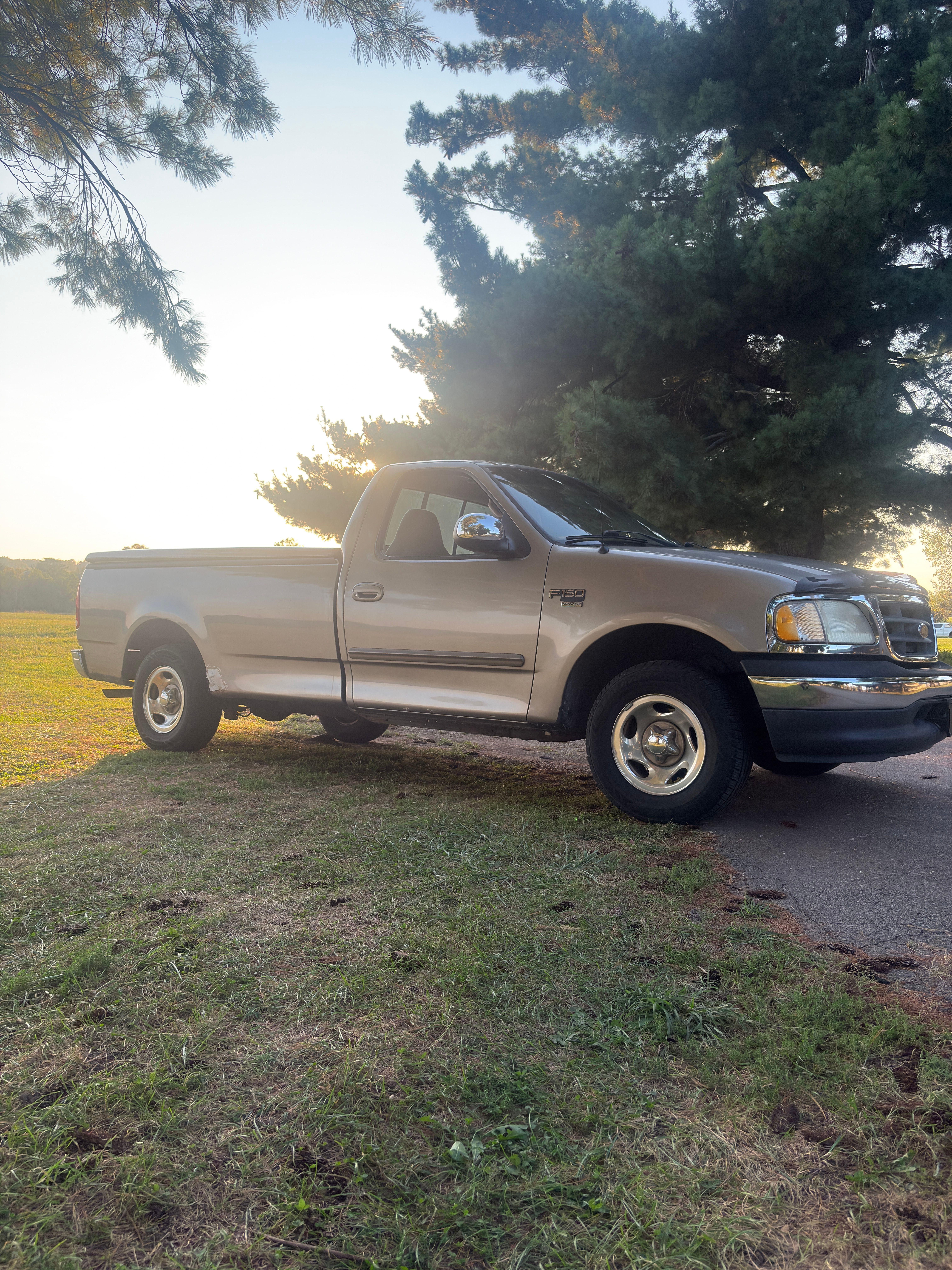 Used 2001 Ford F150 2WD Regular Cab image 9