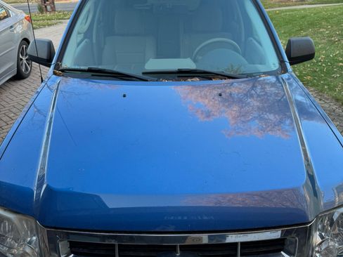 Used 2010 Ford Escape XLT image 4