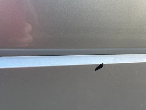 Used 2017 Ford Expedition XLT w/ Equipment Group 202A image 9