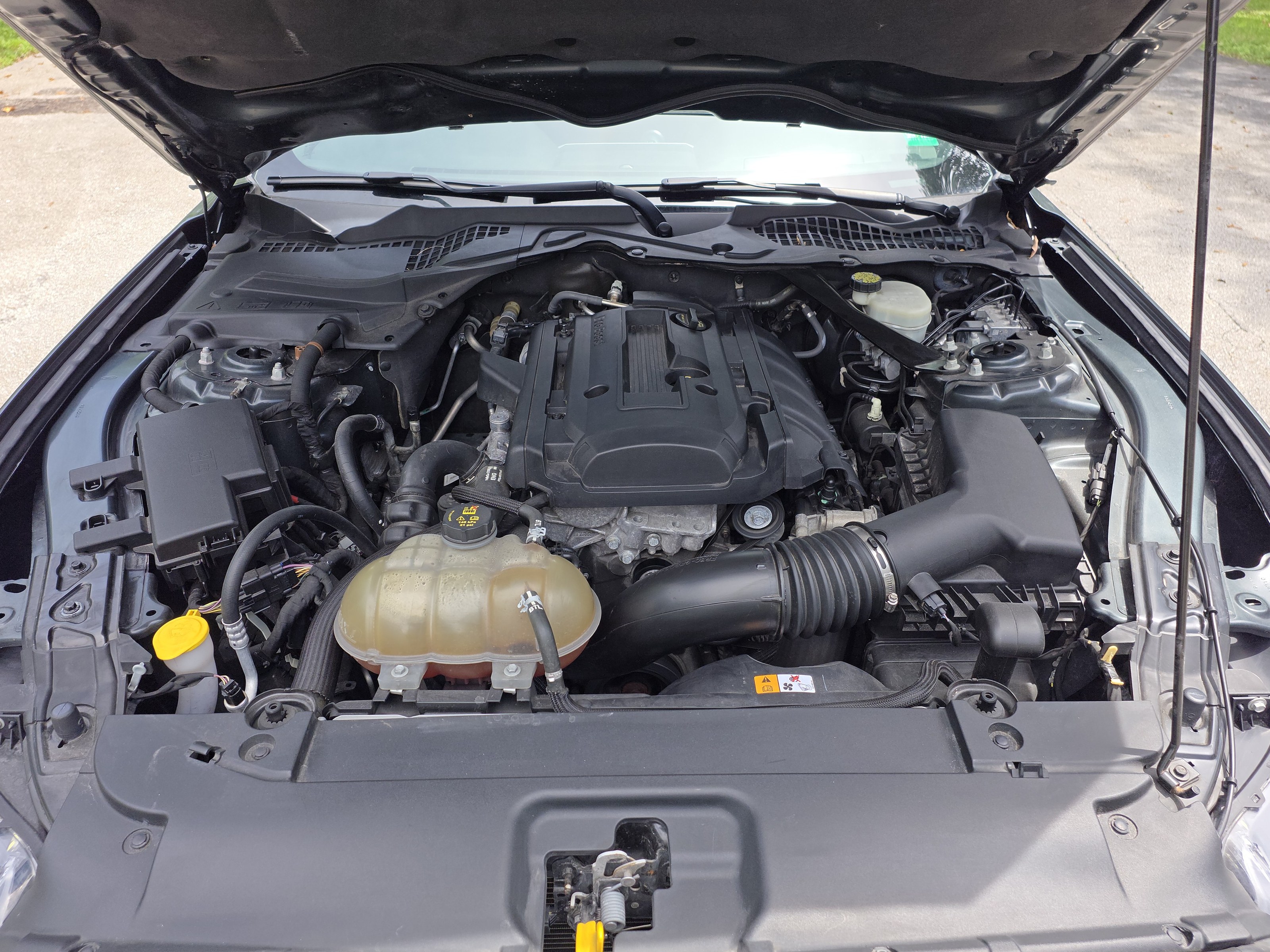 Used 2015 Ford Mustang Premium RWD image 20
