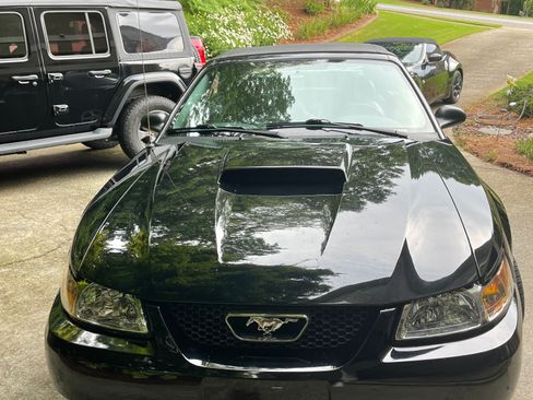 Used 2004 Ford Mustang GT Premium image 5