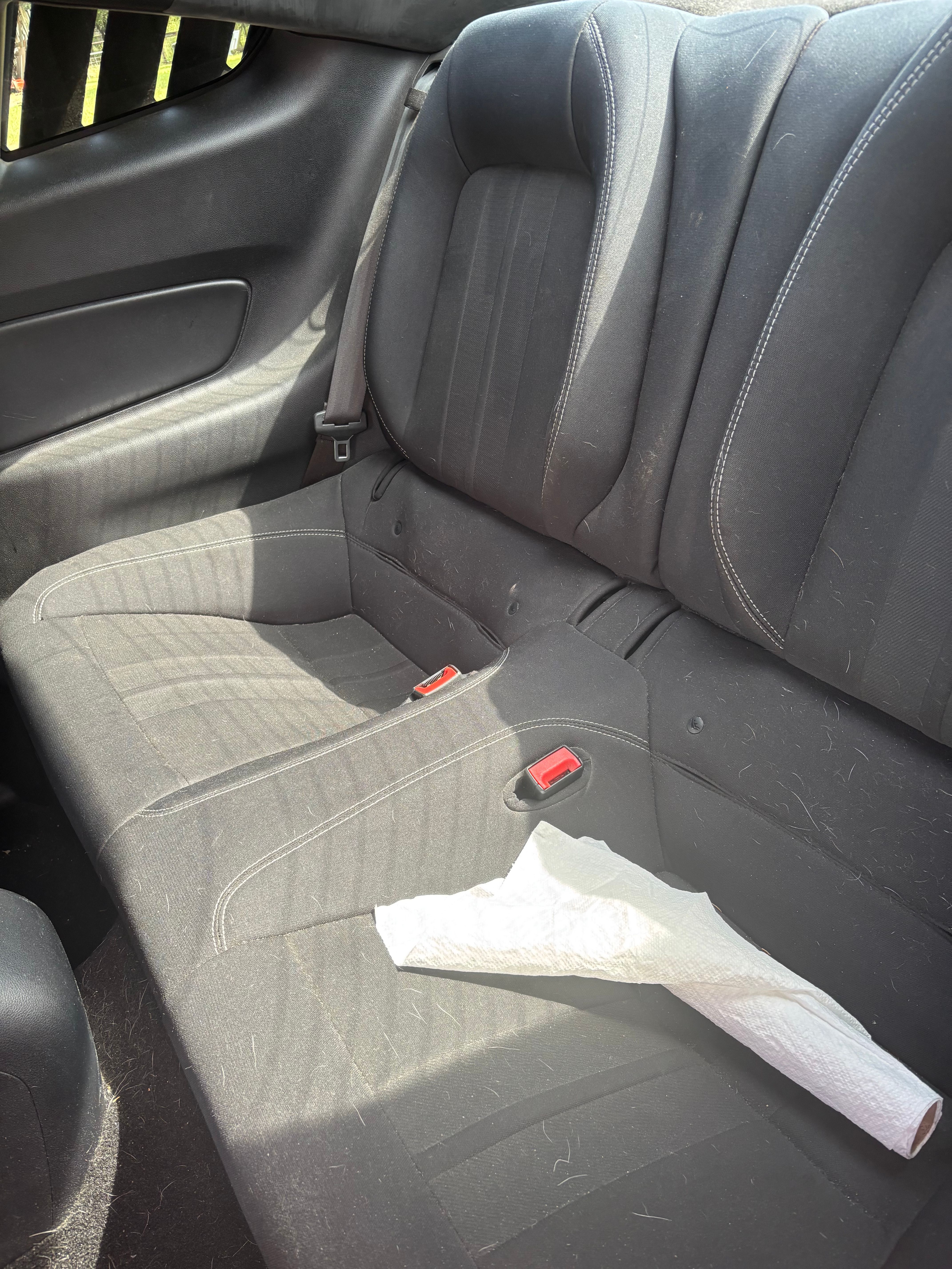 Used 2019 Ford Mustang GT w/ Black Accent Package RWD image 10