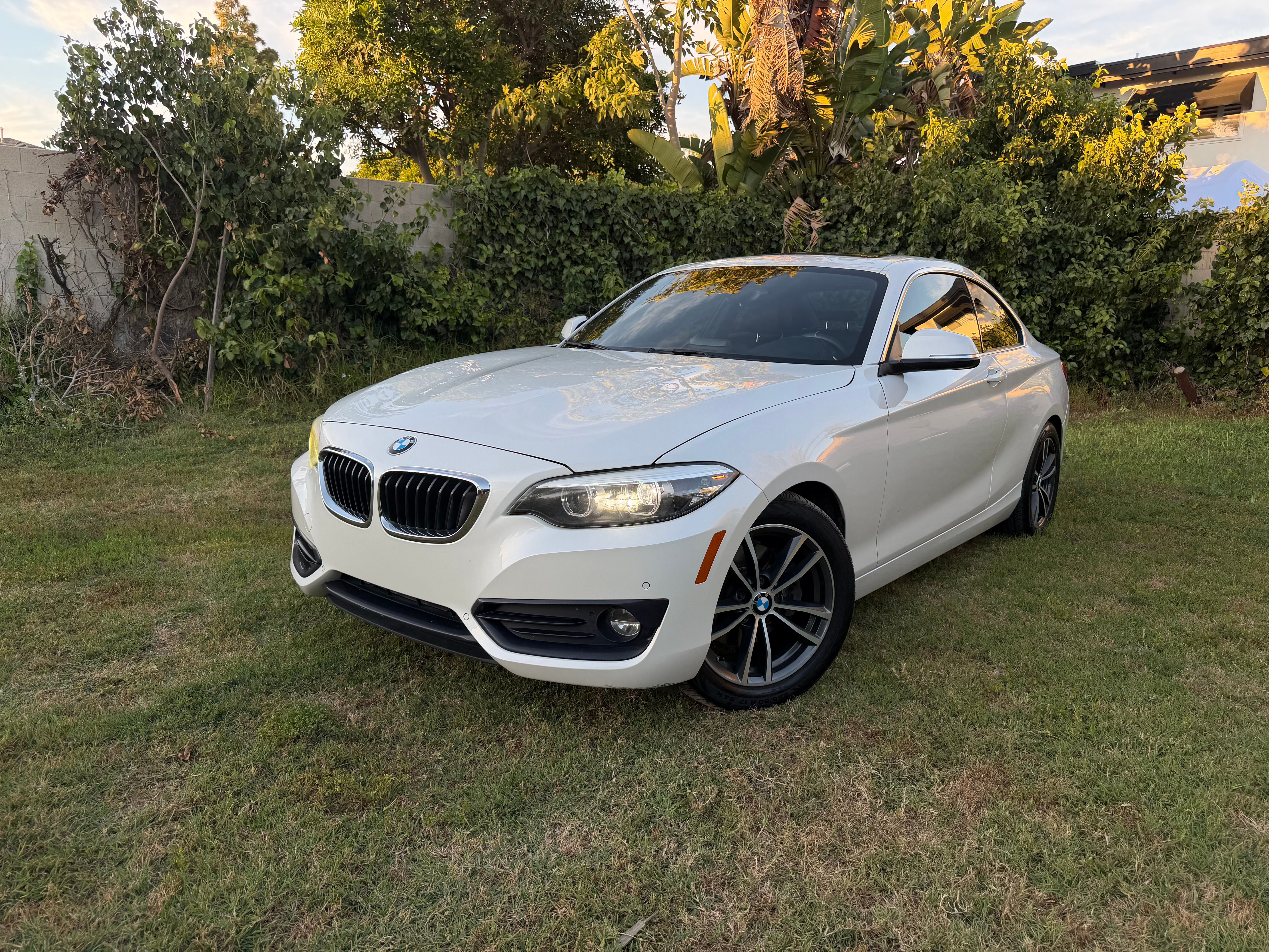 Used 2019 BMW 230i Coupe RWD image 2