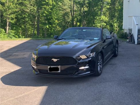 Used 2016 Ford Mustang Premium image 5