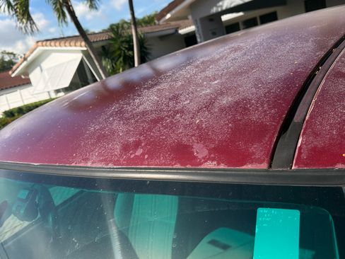 Used 2002 Toyota Tundra SR5 image 8