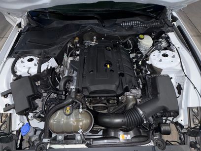 Used 2017 Ford Mustang Premium w/ Wheel & Stripe Package