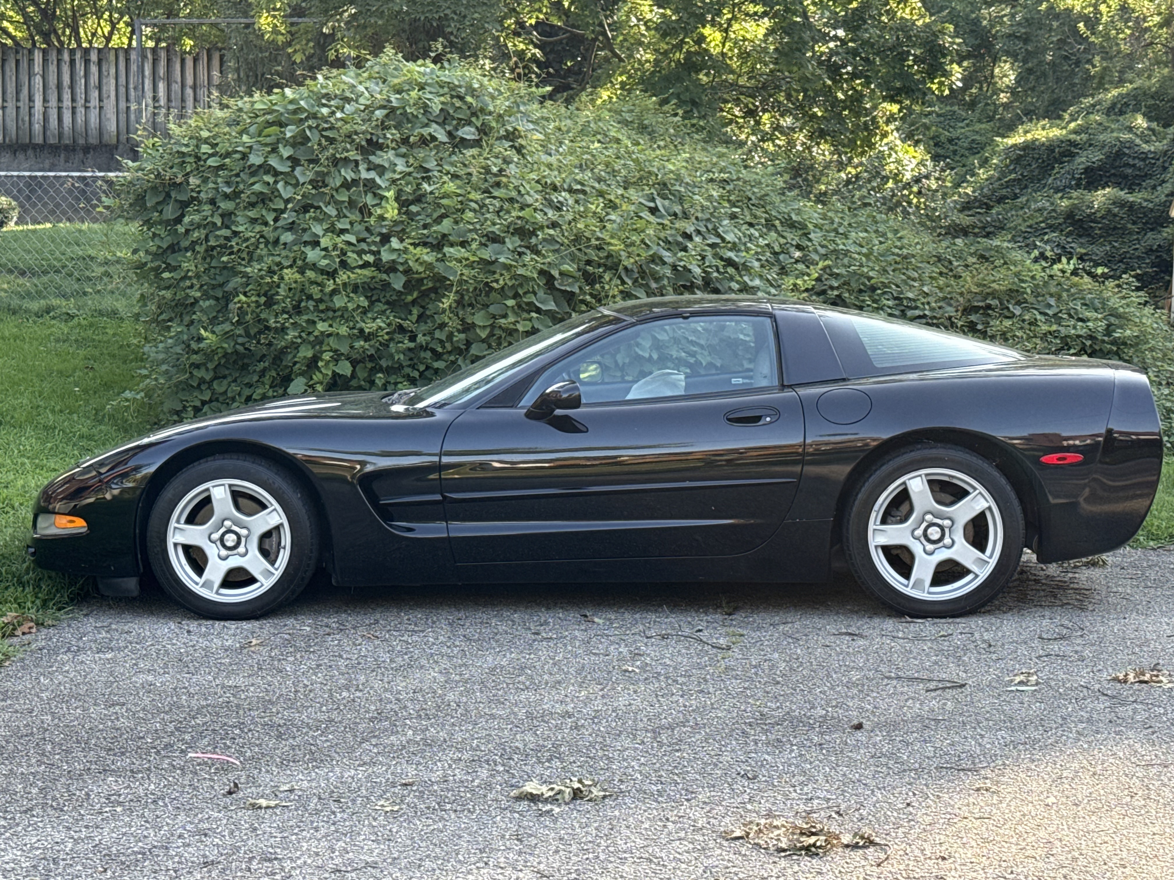 Used 1999 Chevrolet Corvette Coupe w/ Memory Pkg RWD image 2
