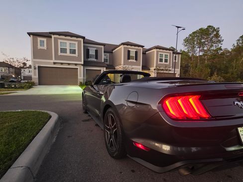 Used 2020 Ford Mustang Premium image 1