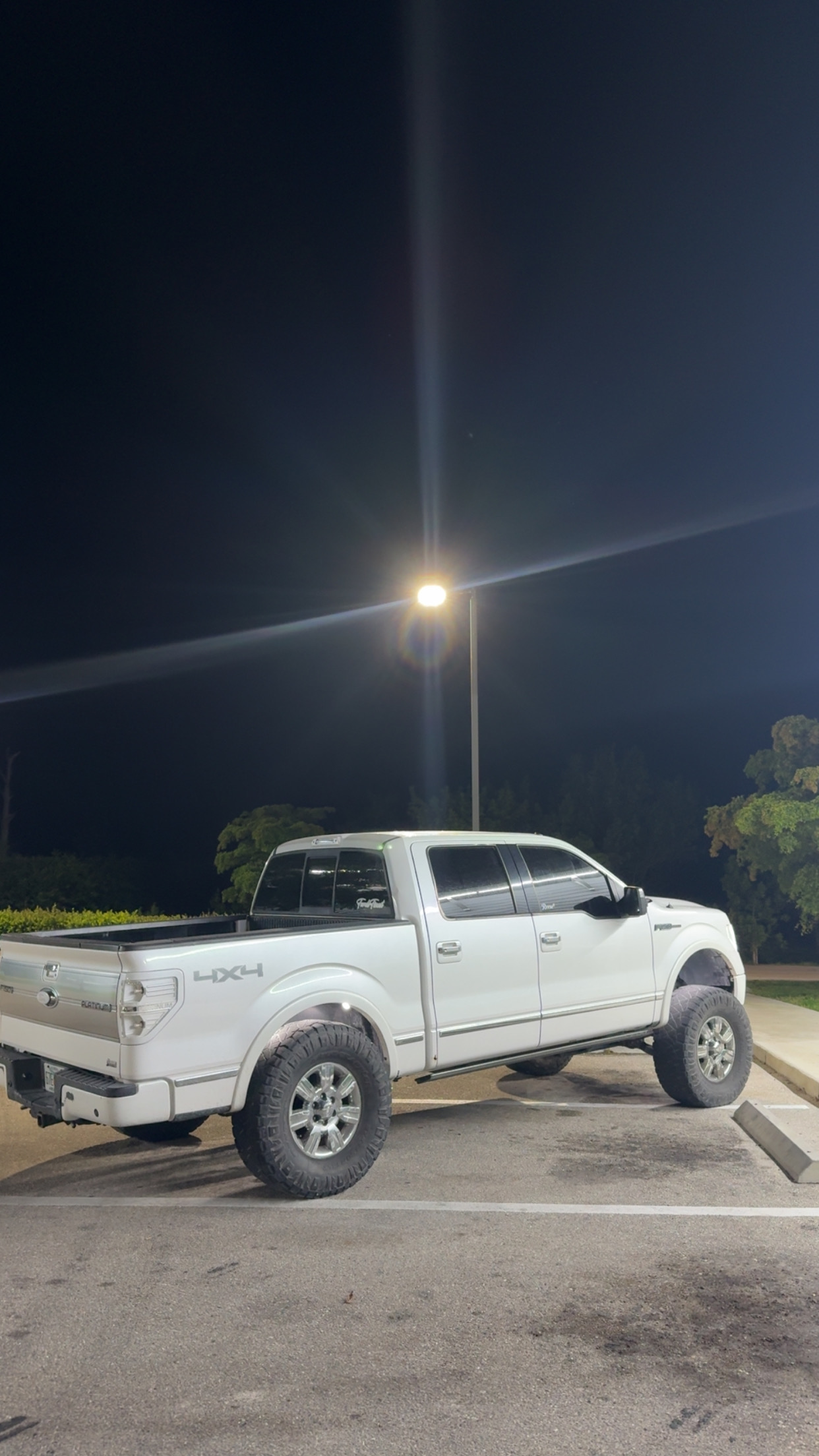 Used 2010 Ford F150 Platinum AWD/4WD image 4