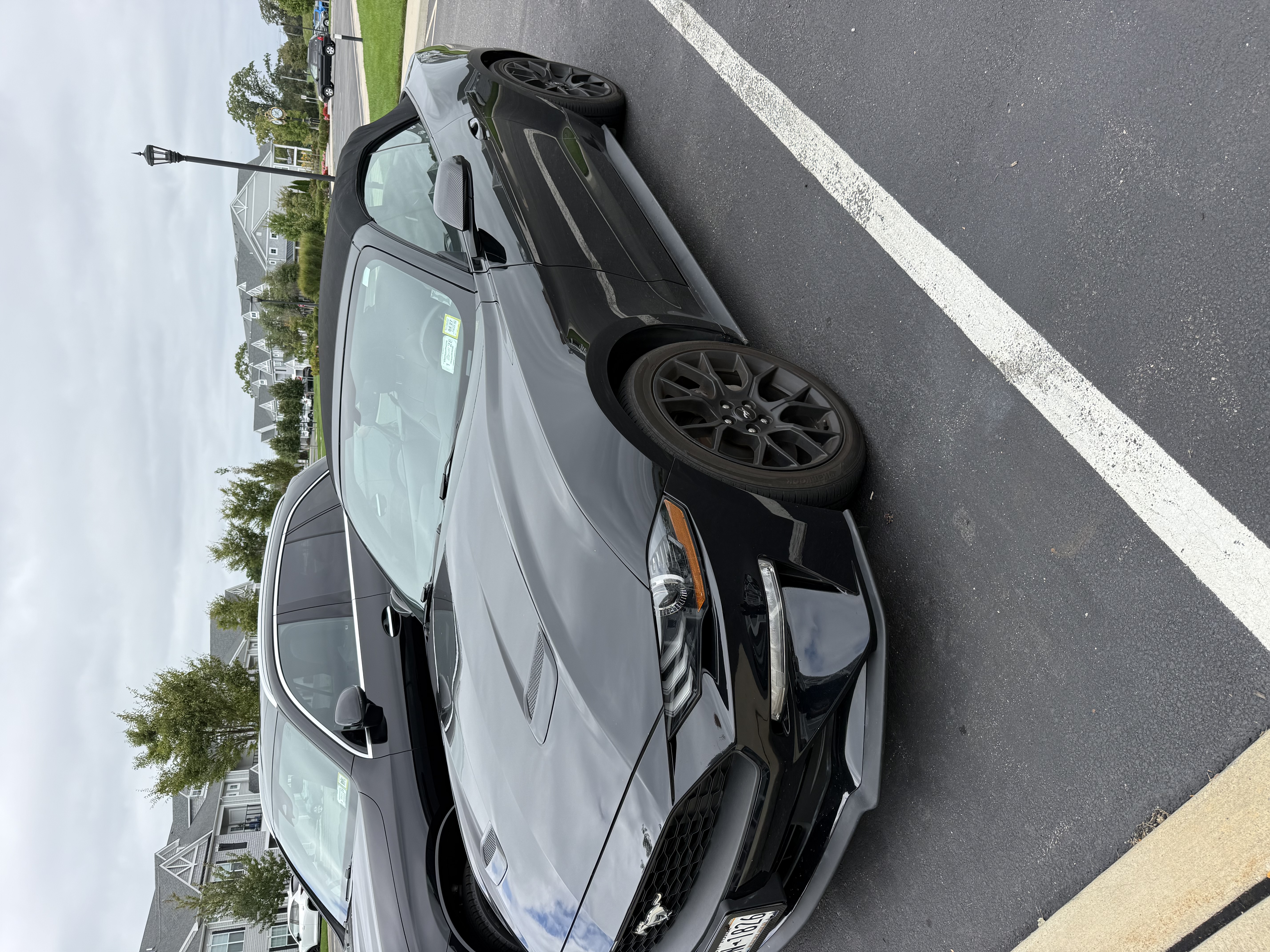 Used 2019 Ford Mustang Convertible w/ Ecoboost Performance Package RWD image 14