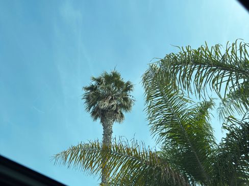 Used 2015 MAZDA CX-5 Grand Touring image 12