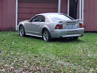 Used 2001 Ford Mustang Cobra