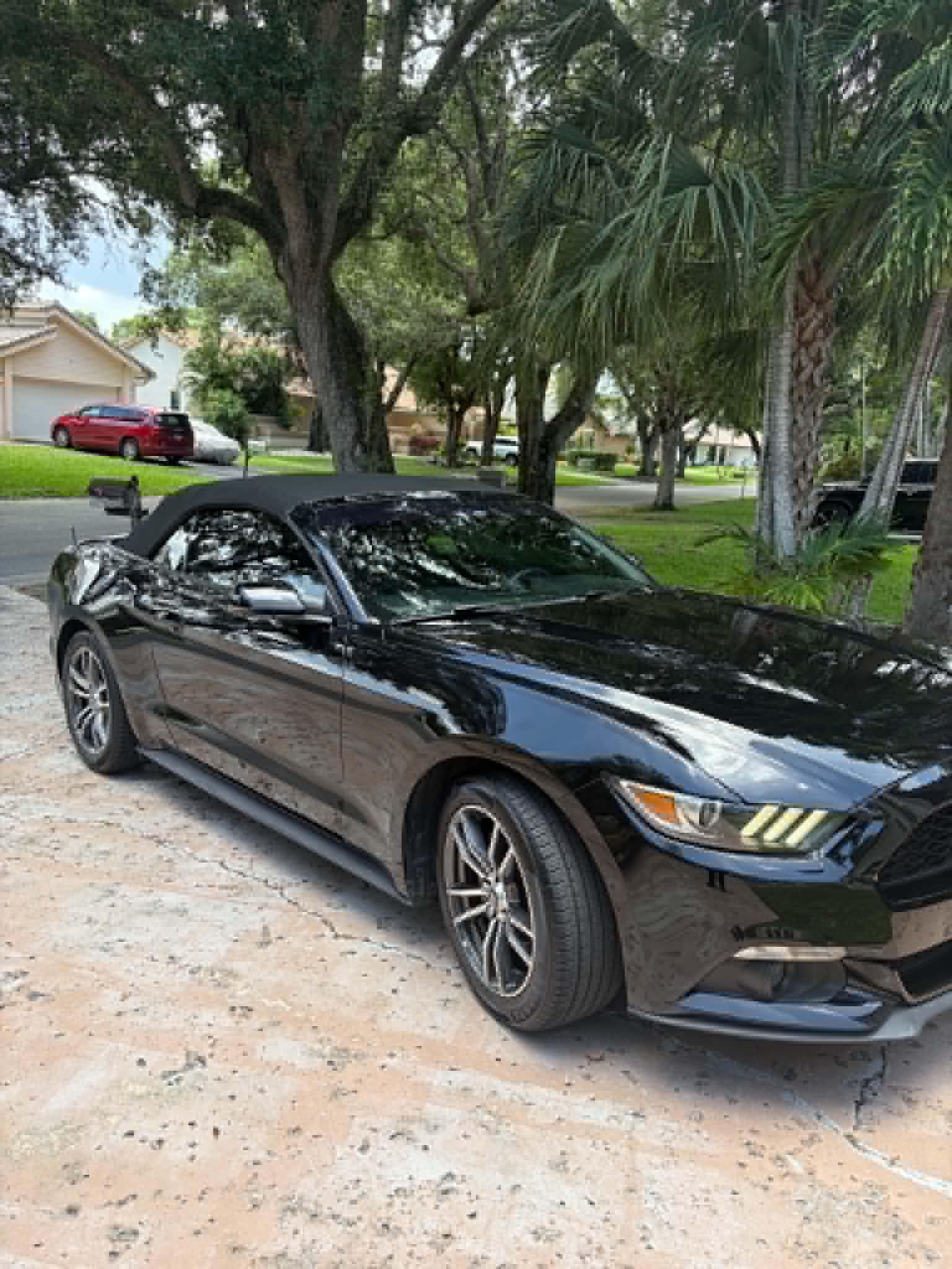 Used 2017 Ford Mustang Premium RWD image 10