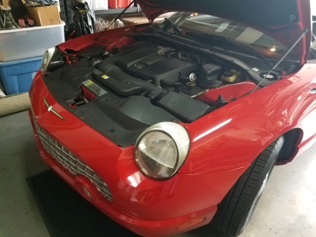 Used 2002 Ford Thunderbird RWD image 4