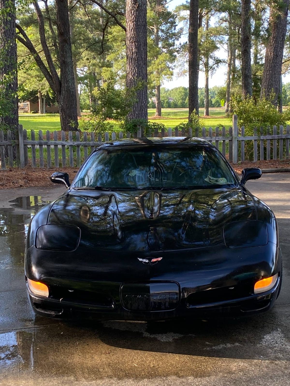 Used 2000 Chevrolet Corvette Coupe w/ Roof Pkg RWD image 14
