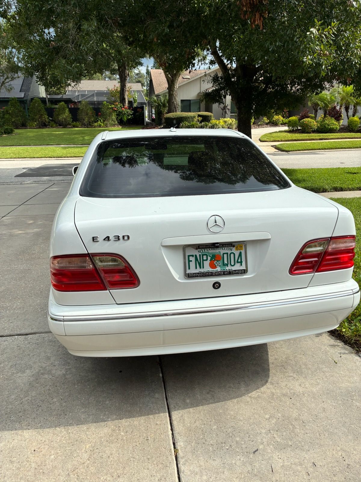 Used 2001 Mercedes-Benz E 430 Sedan image 5