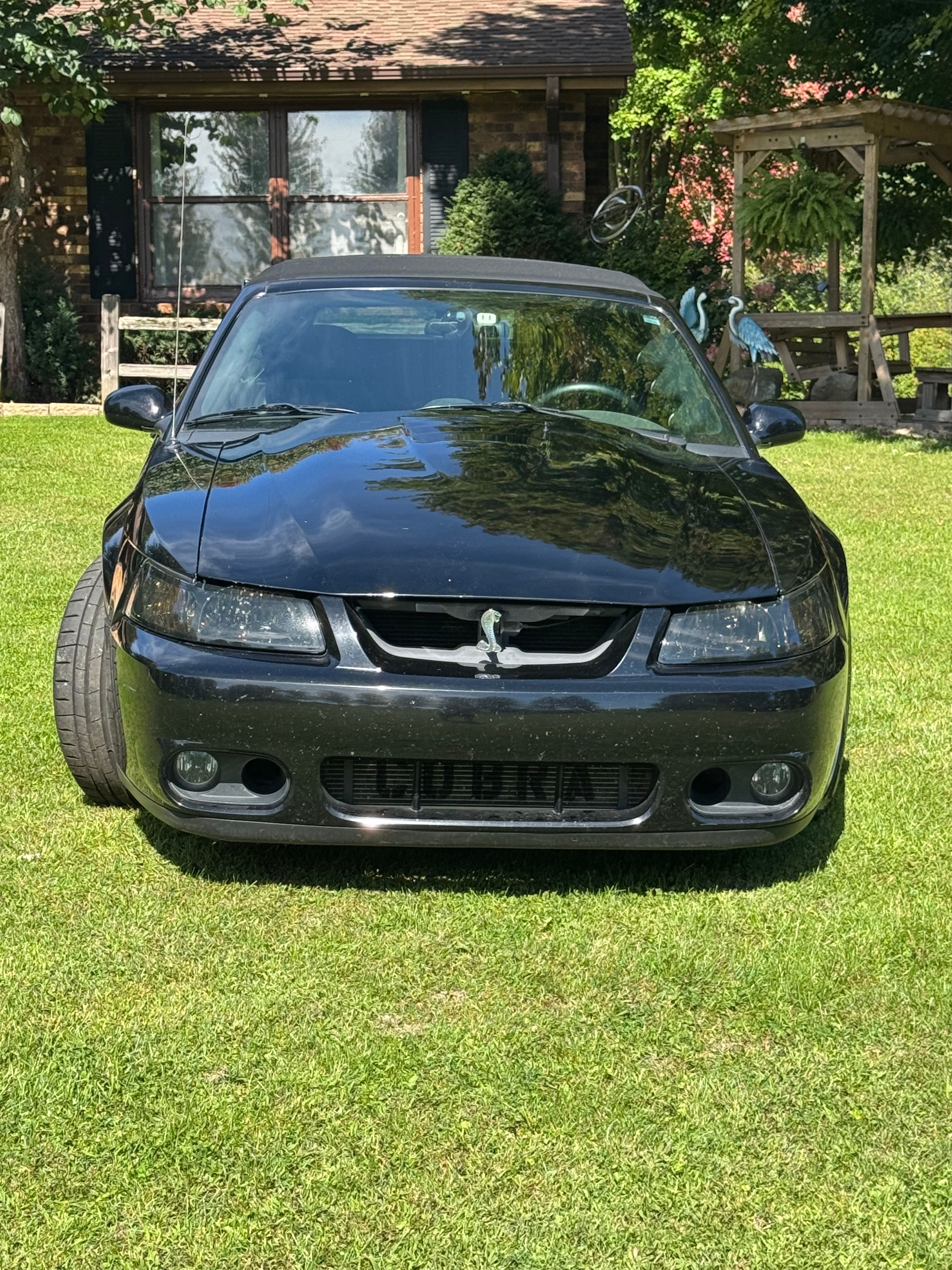 Used 2004 Ford Mustang Cobra RWD image 15